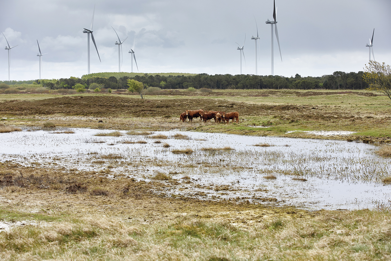 Få hjælp til at opfylde grønne krav – så du ikke går glip af støtte