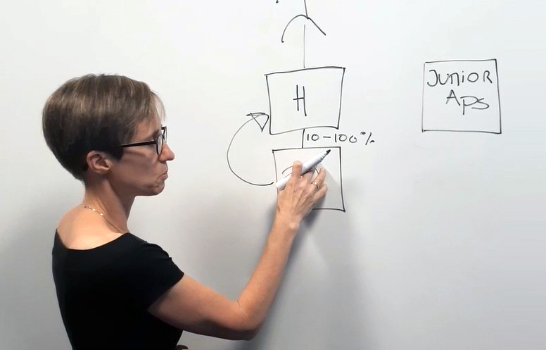 Hvorfor er holdingselskabet en god idé?