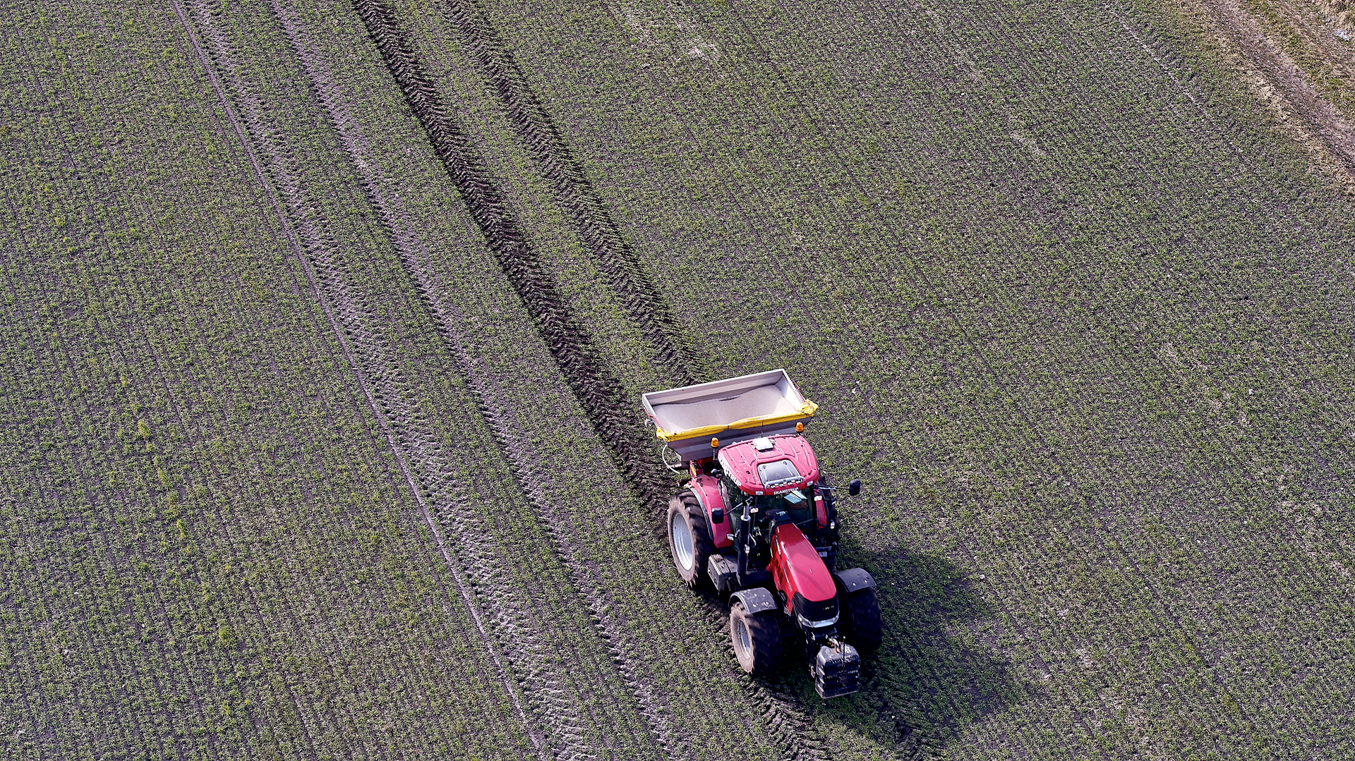 Påvirker de høje gødningspriser afgrødevalg og gødskningsstrategi?