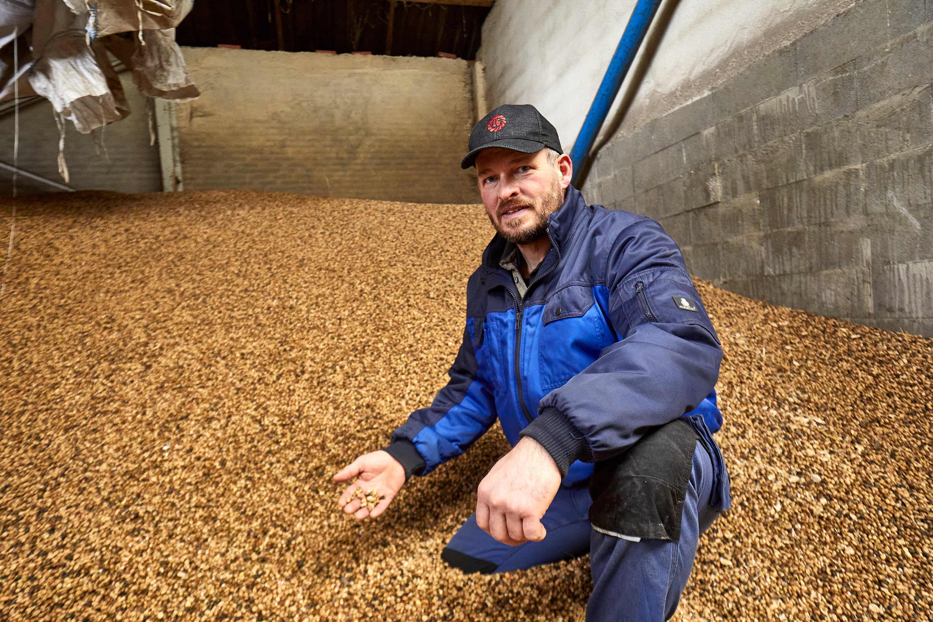 Danskerne vil have dansk produceret protein