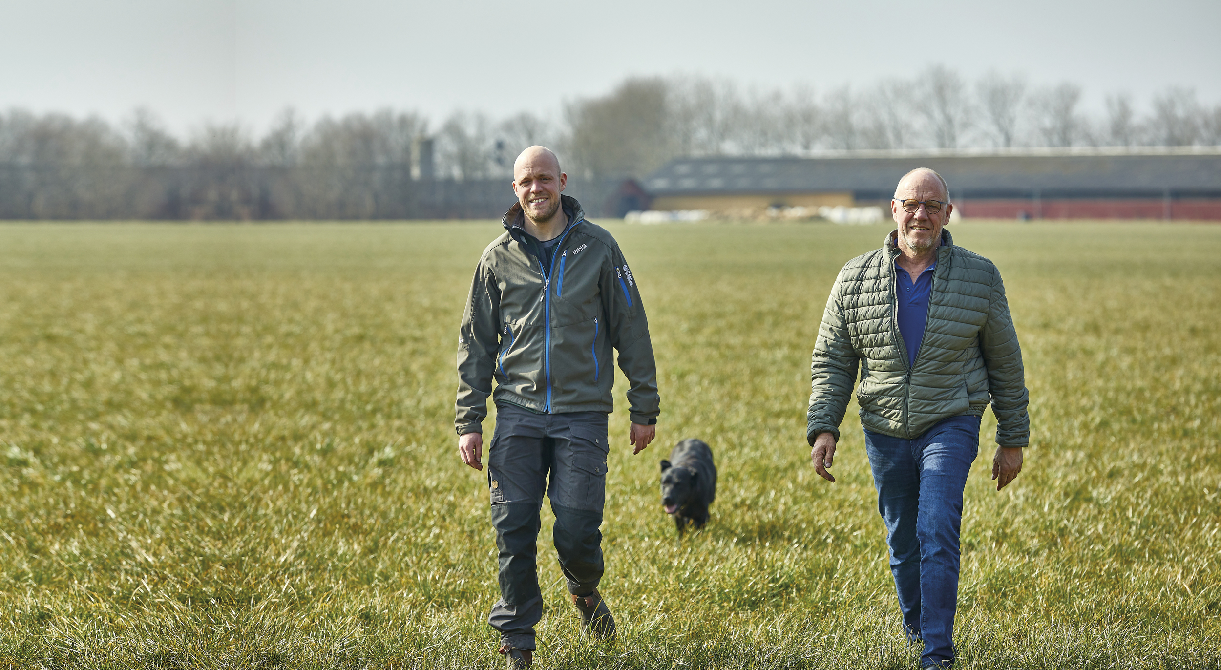 Masser af græs i komaverne