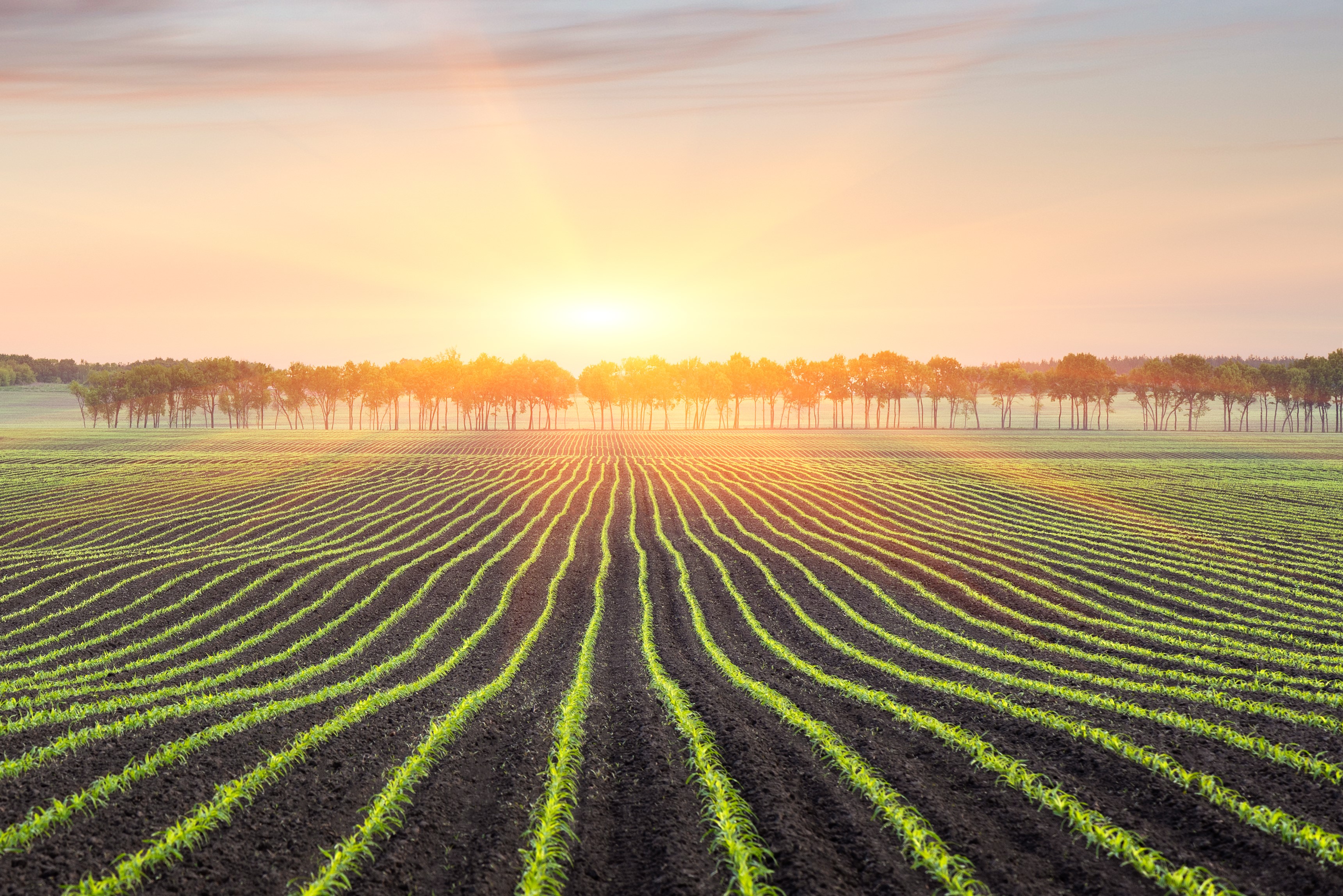 Nu bliver det konkret: På Klimadag kan du se din bedrifts klimaaftryk