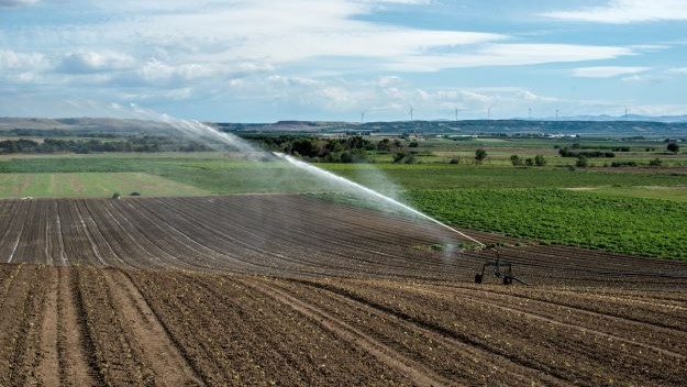 Frem med vandingsmaskinerne - der er risiko for tørkestress