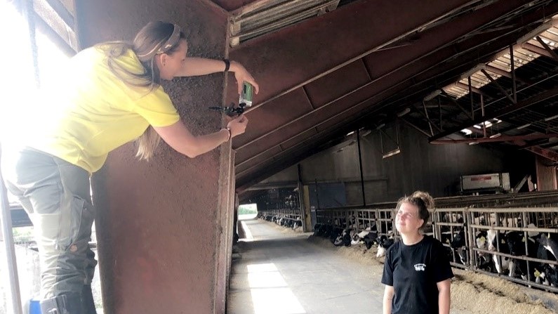 Video viser kalvenes hemmelige liv