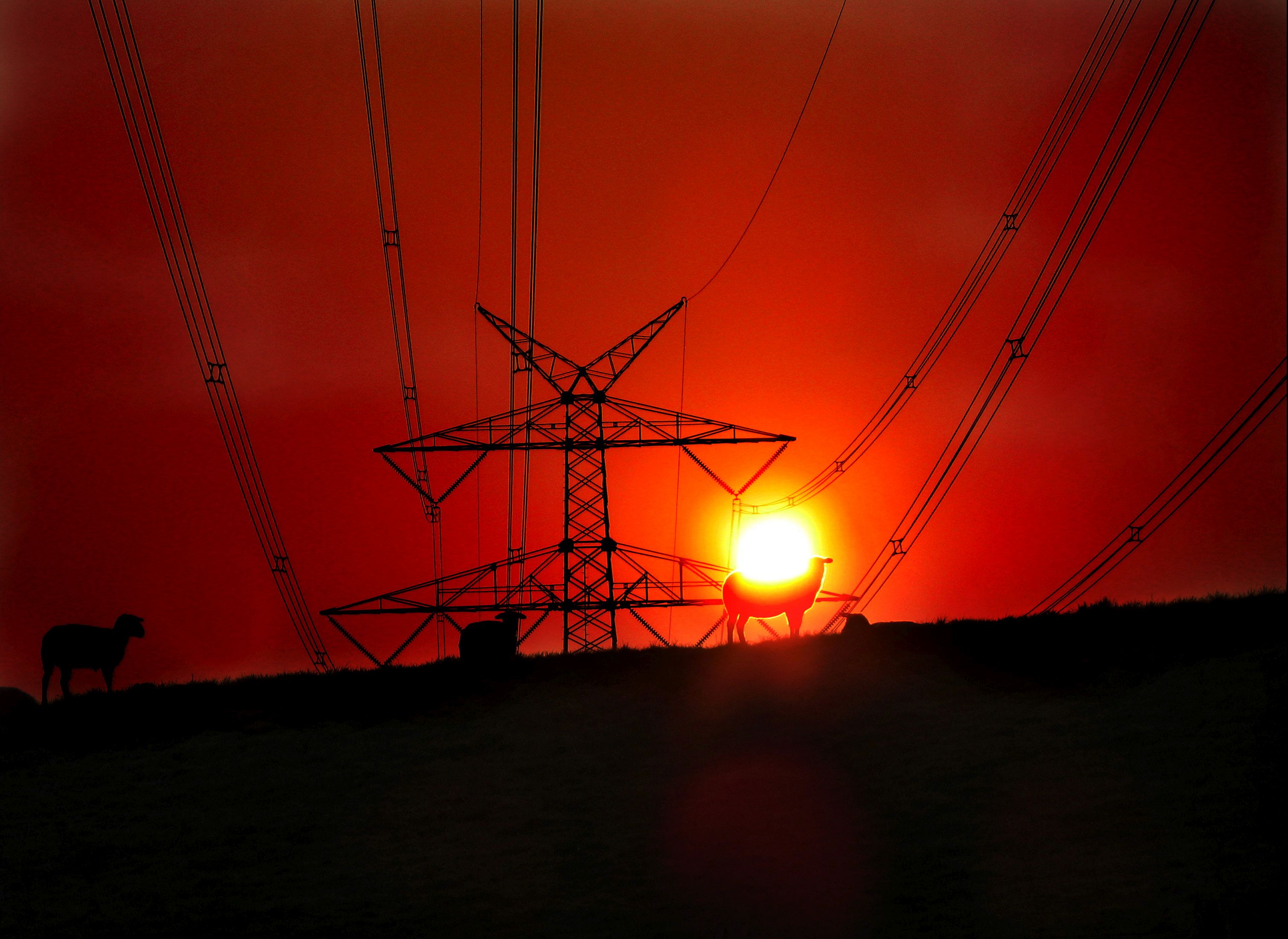 "Hver eneste bedrift, jeg har besøgt, har som minimum sparet 10 til 12% på elregningen"