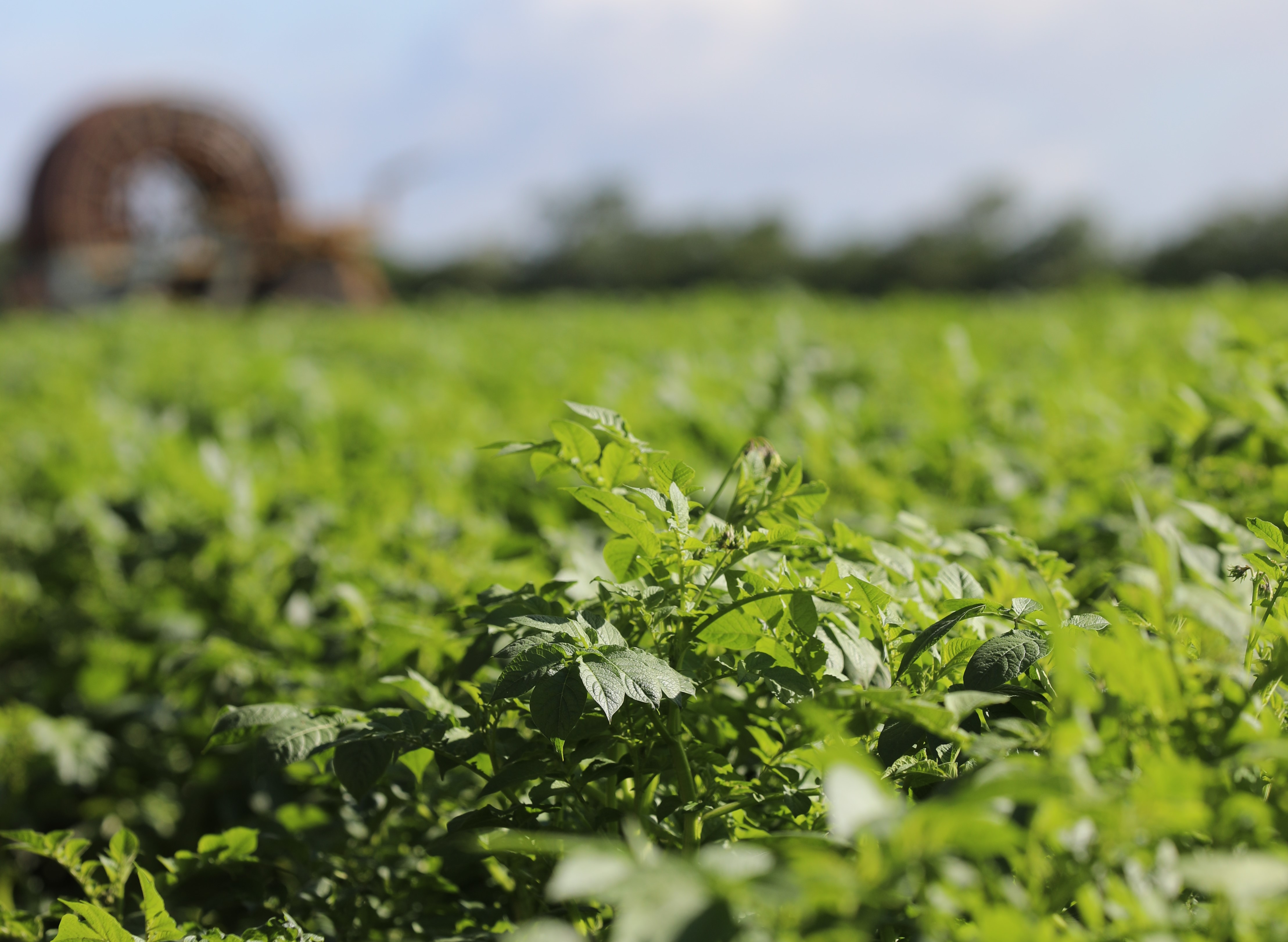 Formændene i SAGROs ejerforeninger bakker op om grøn trepart