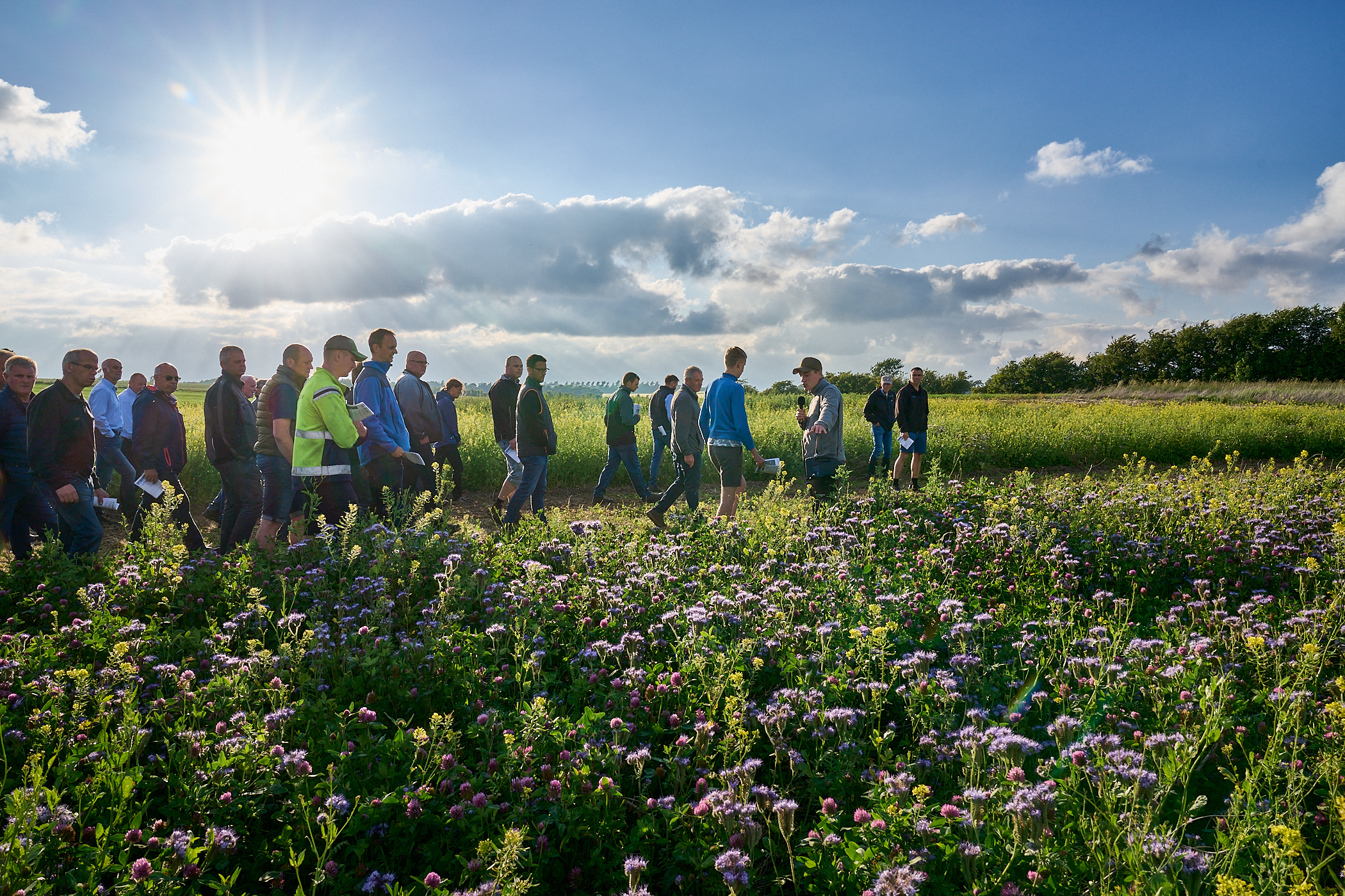 Årets Planteaften byder på store maskiner og vellykket omlægning af græs