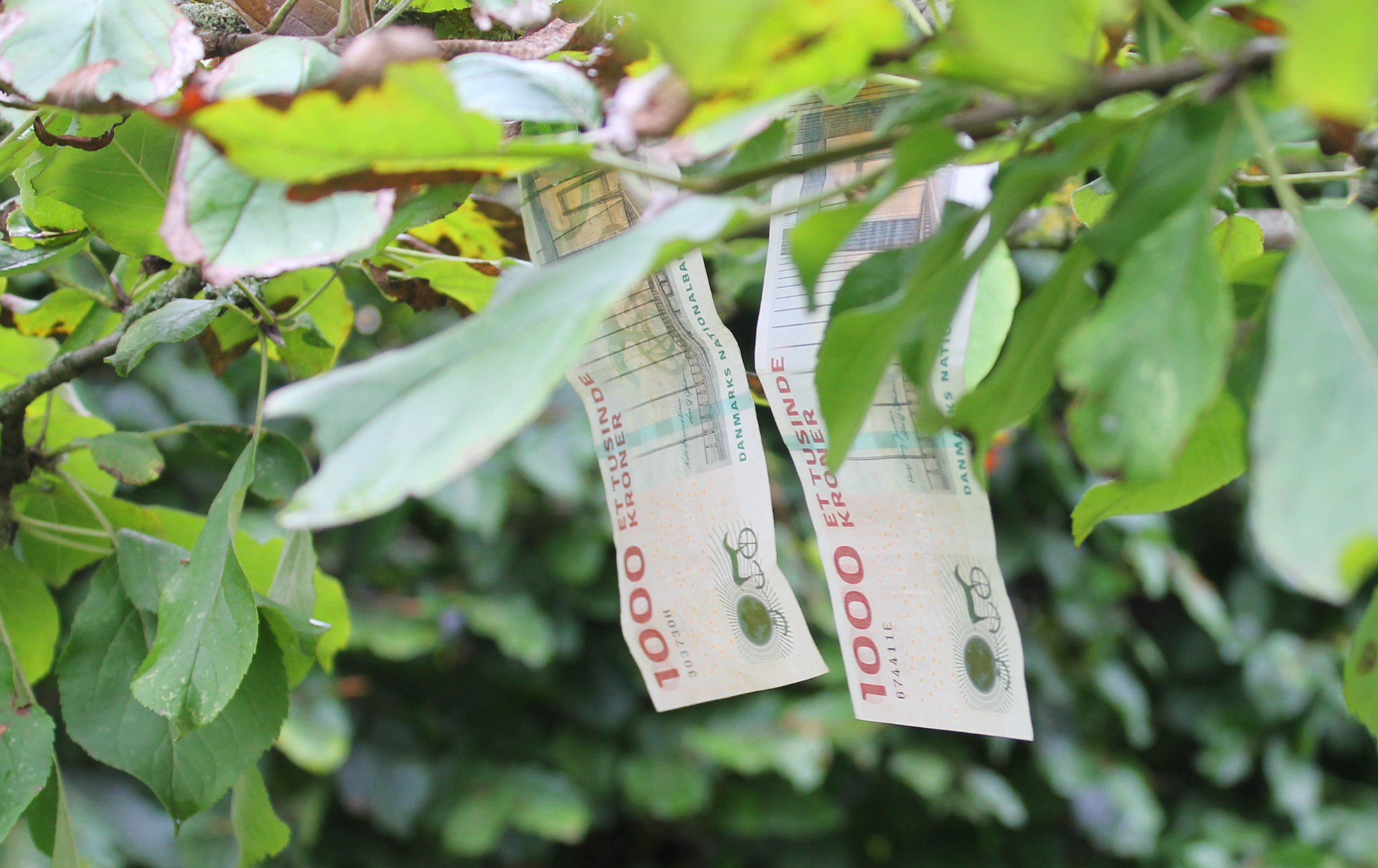 Tøm kemirummet før du tømmer sparegrisen