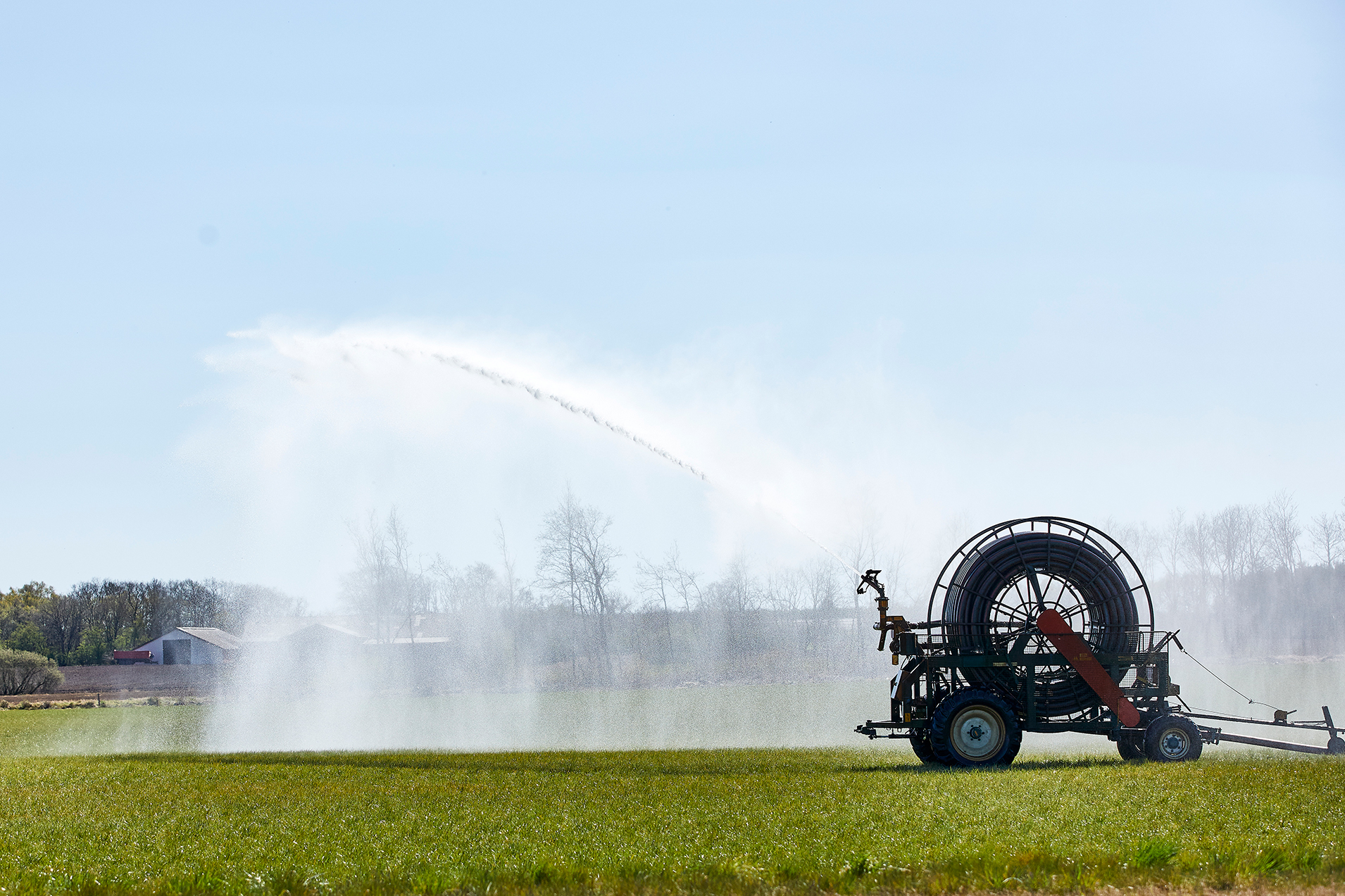 Få mest mulig gavn af vanding