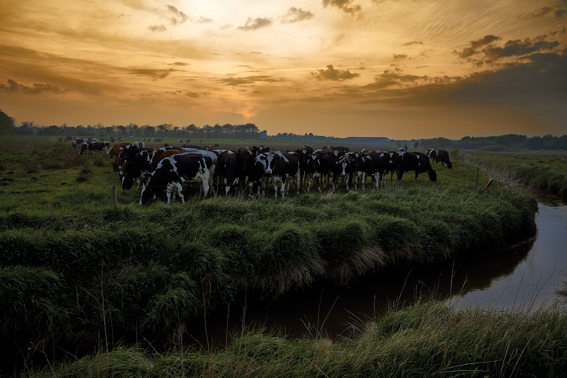 Natafgræsning – fyldt med fordele!
