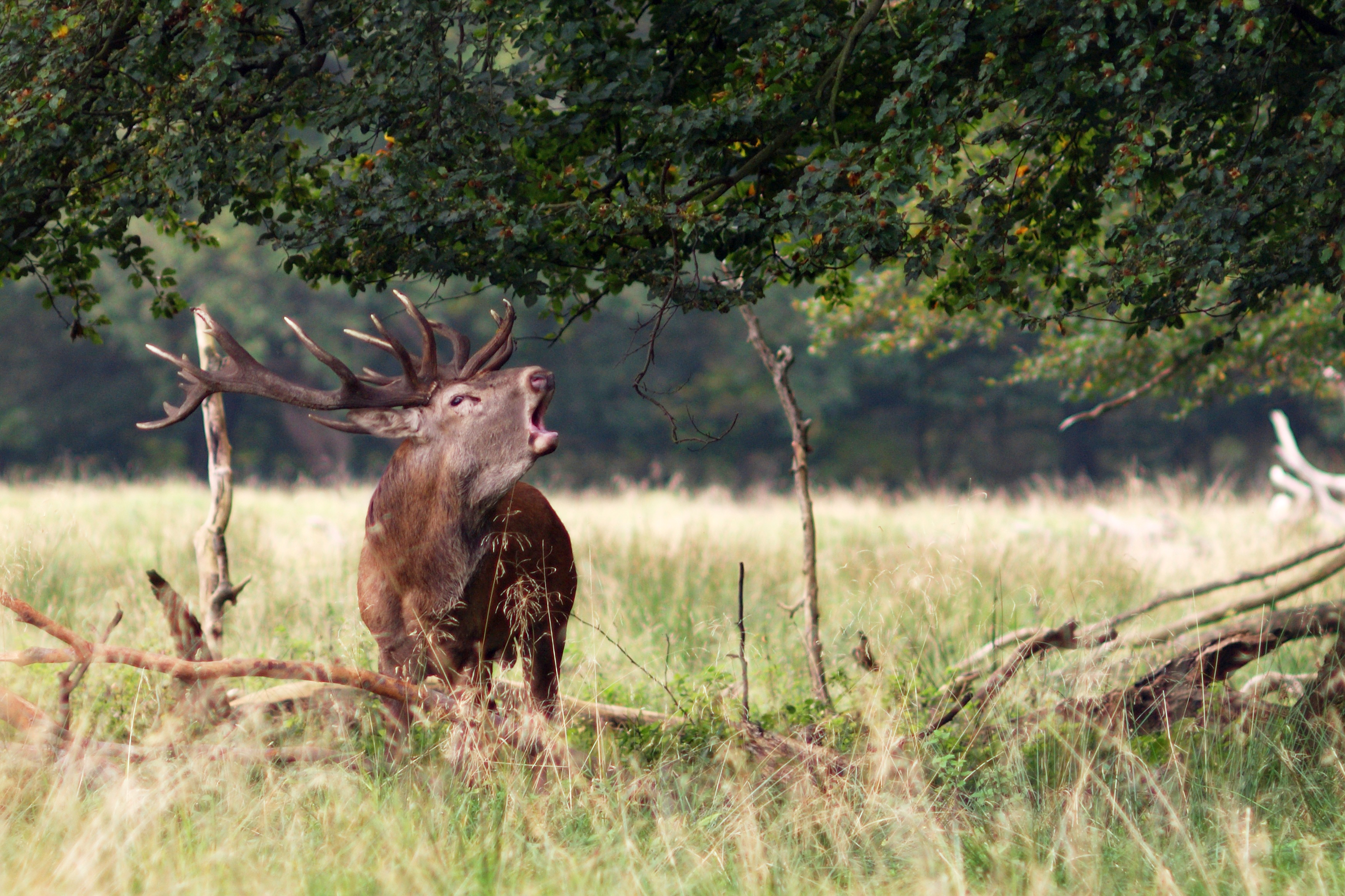 Beslutning vil koste kassen for landmænd