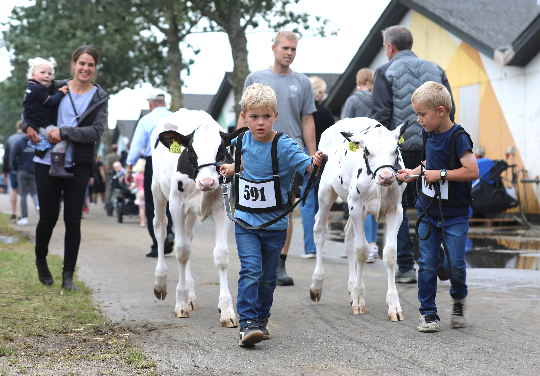 Fantastisk fin afvikling af Landsskuet i Herning