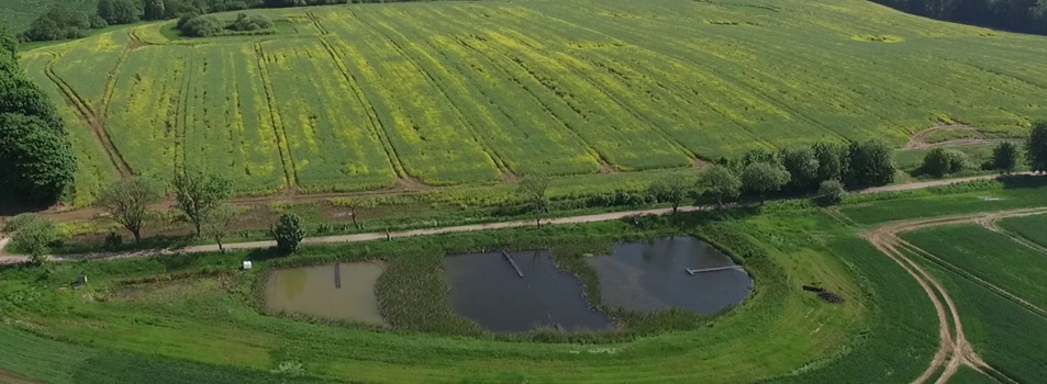 Minivådområder fjerner kvælstof fra drænvandet
