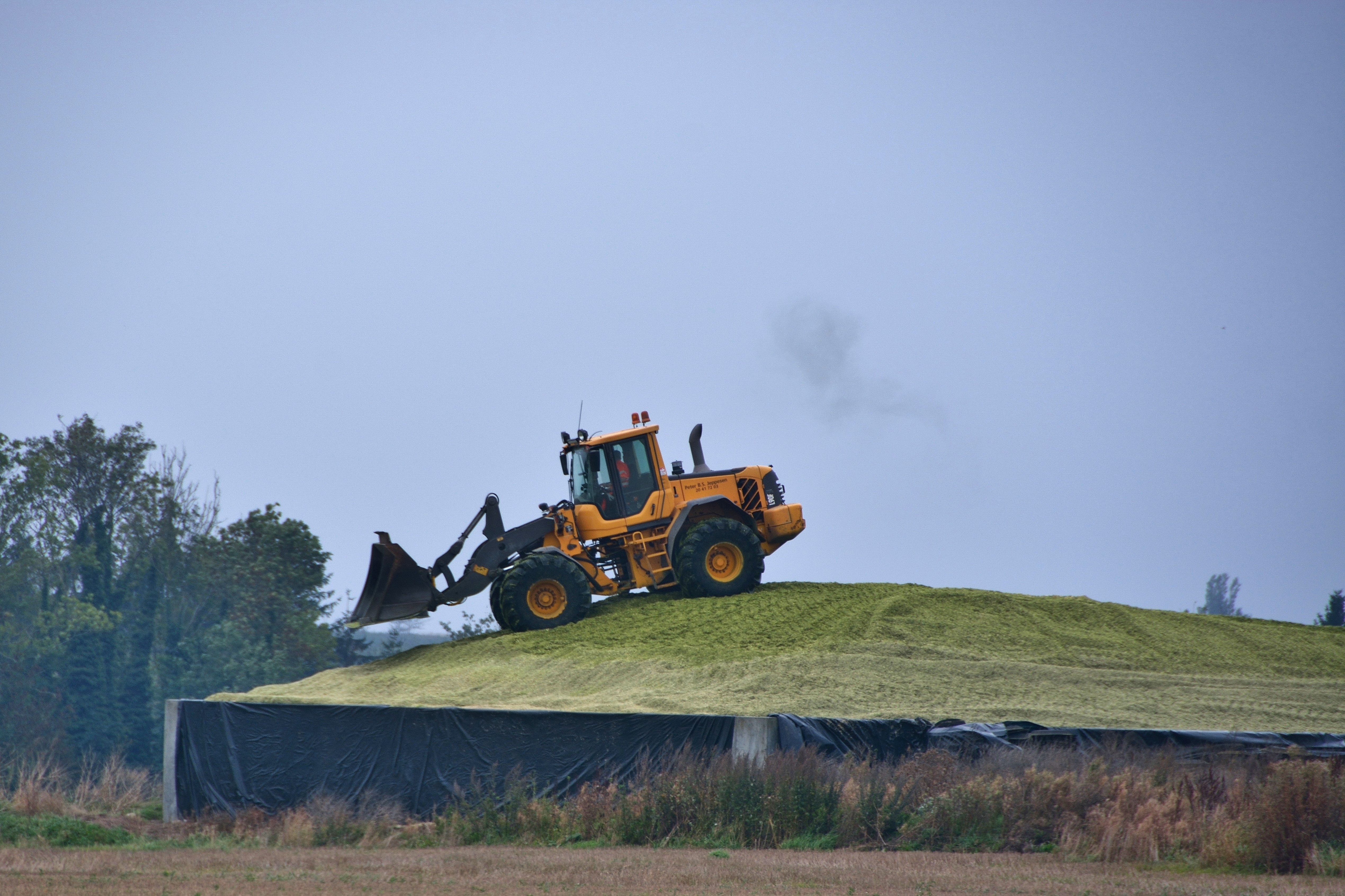 Udsigt til mangel på græsensilage flere steder