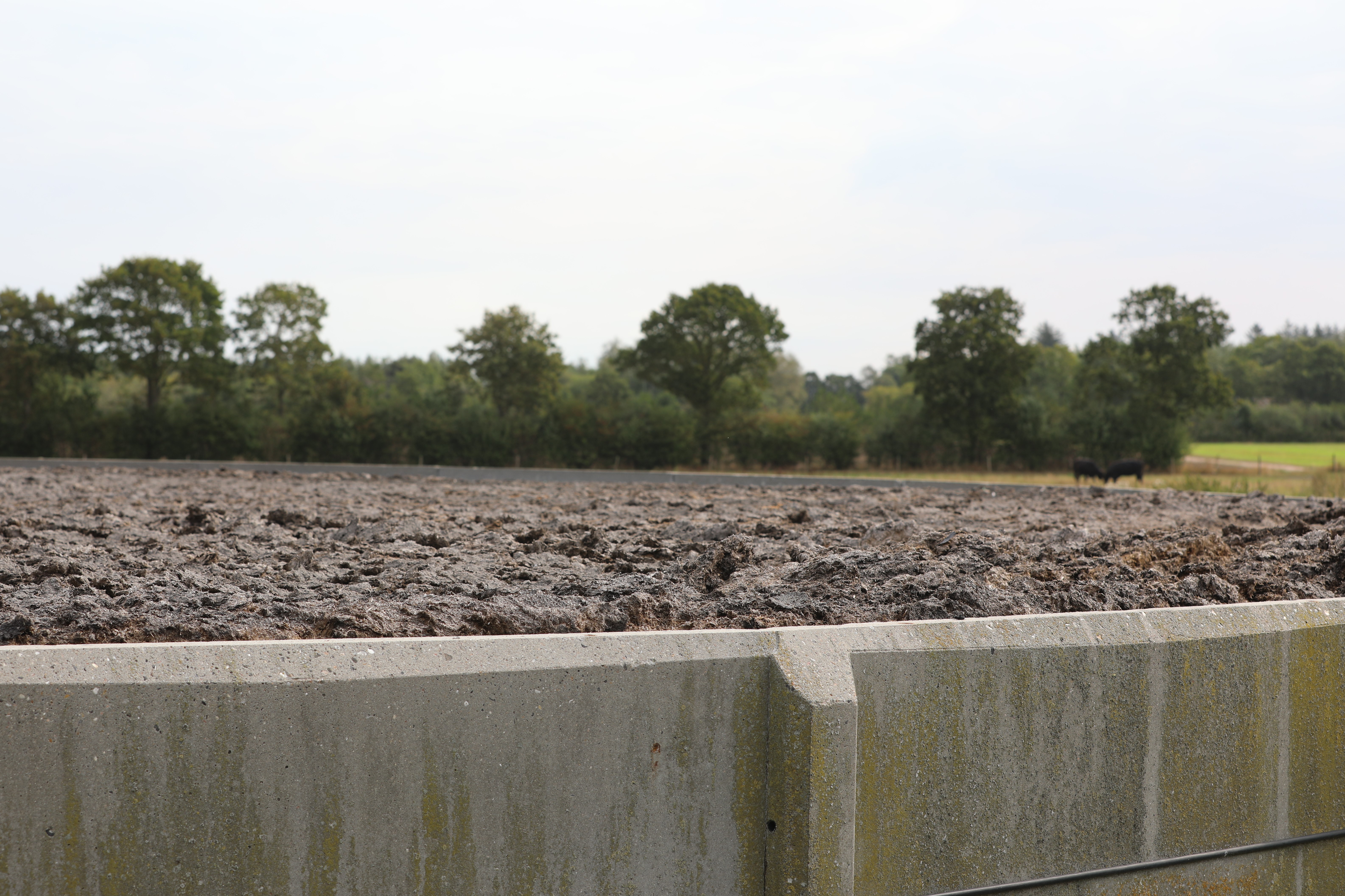 Biogas: Der er penge i lortet