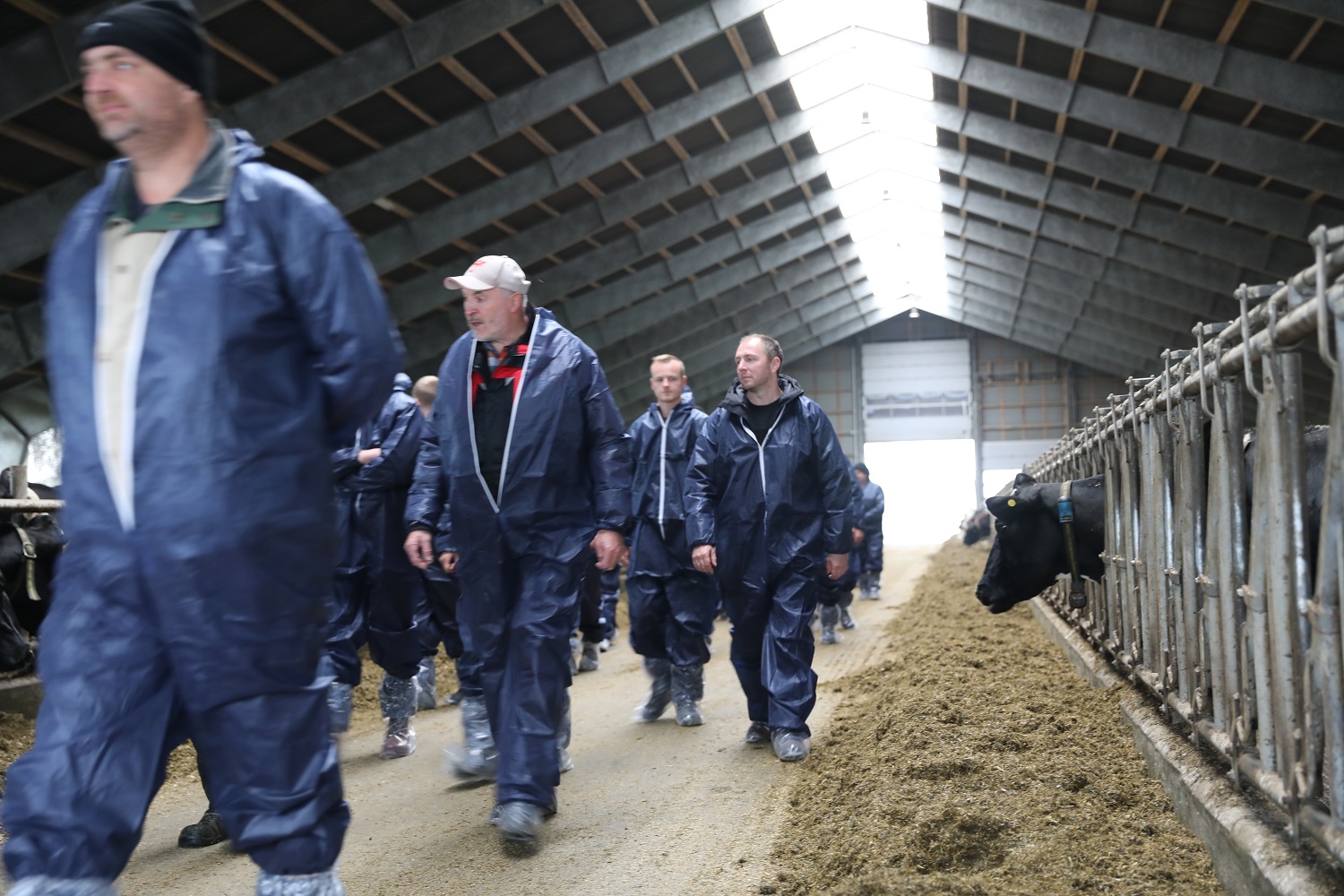 Årets økologiske eliteafgræsser er fundet