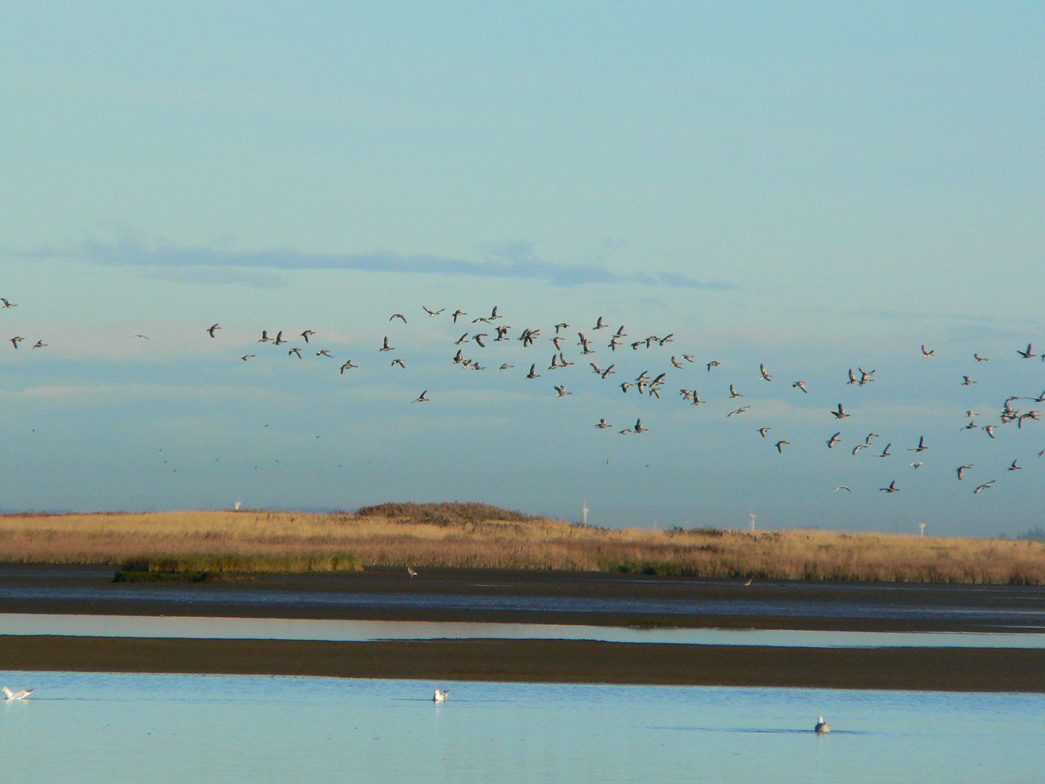 Har du husket dette tilskud?