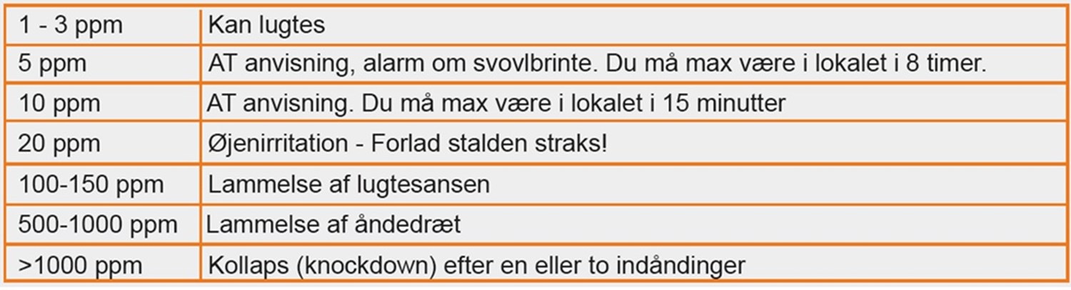 På fem år døde otte af denne gas