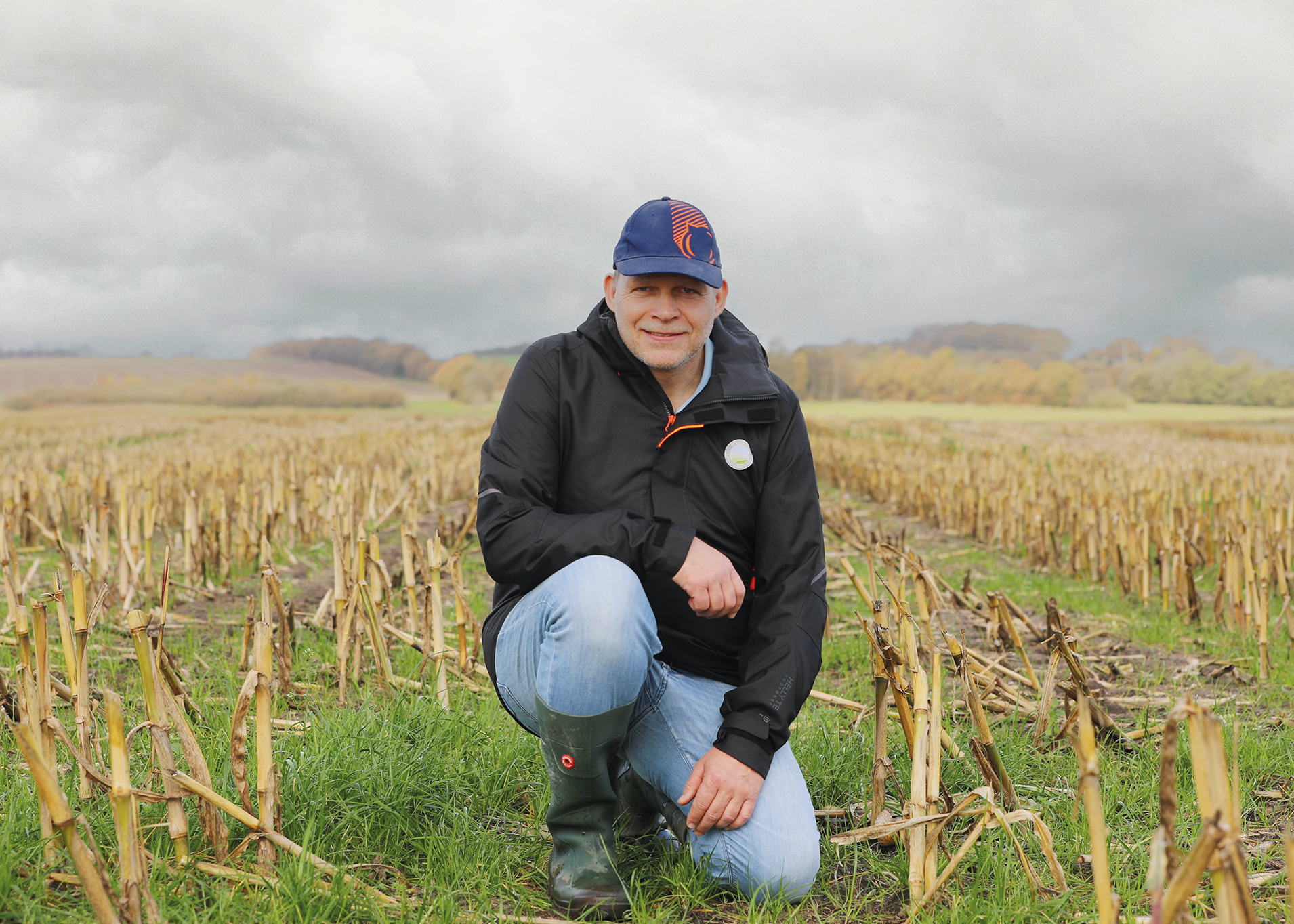 Kan man så majs uden handelsgødning?