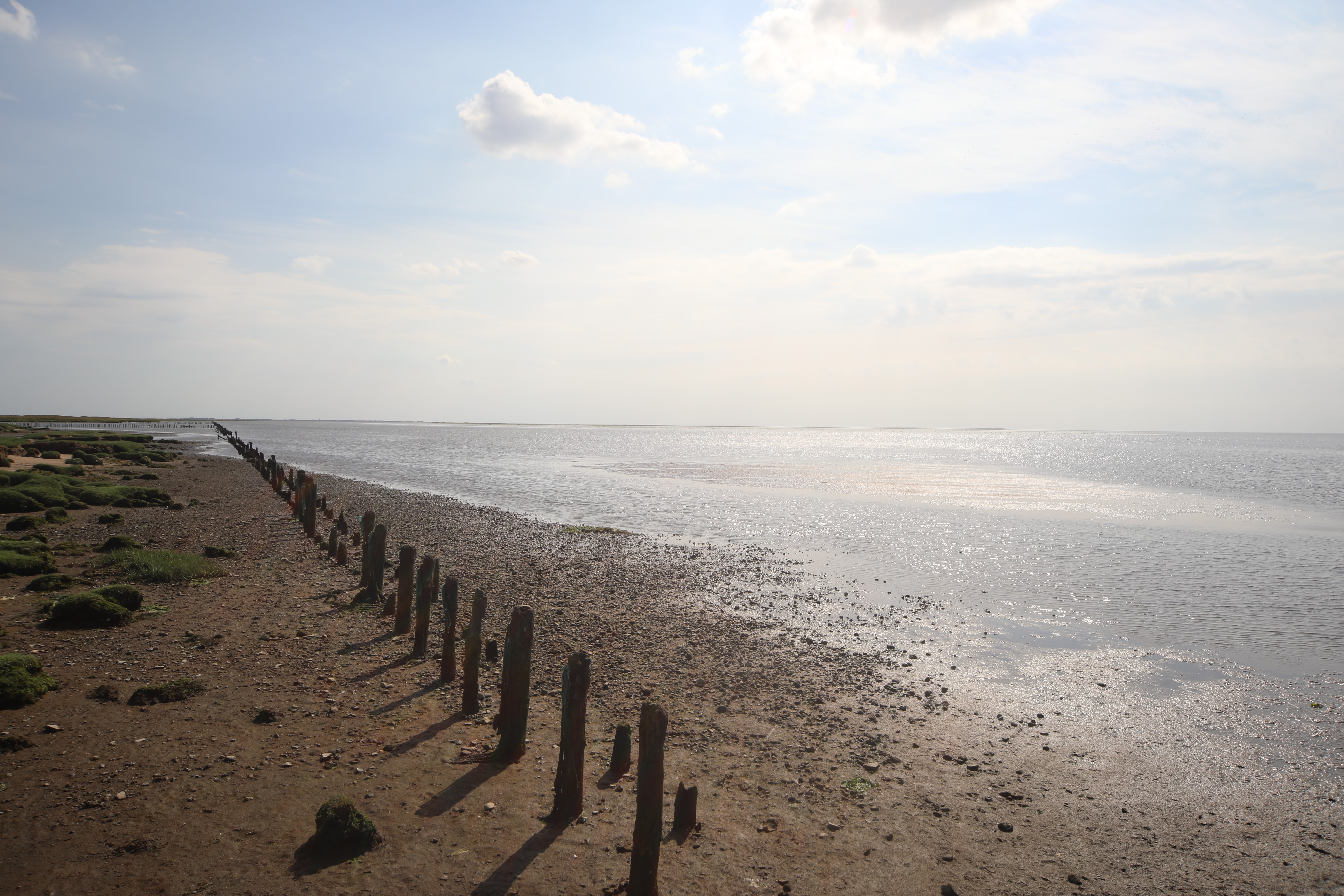 Millioner på vej til gavn for Vadehavet