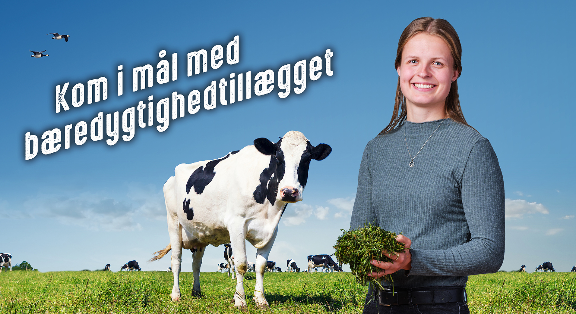 Kom i mål med bæredygtighedstillægget