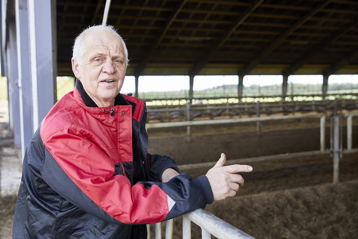 Skader fra krondyr giver hvert år Mads Helms et udbyttetab på ca. 300.000,-