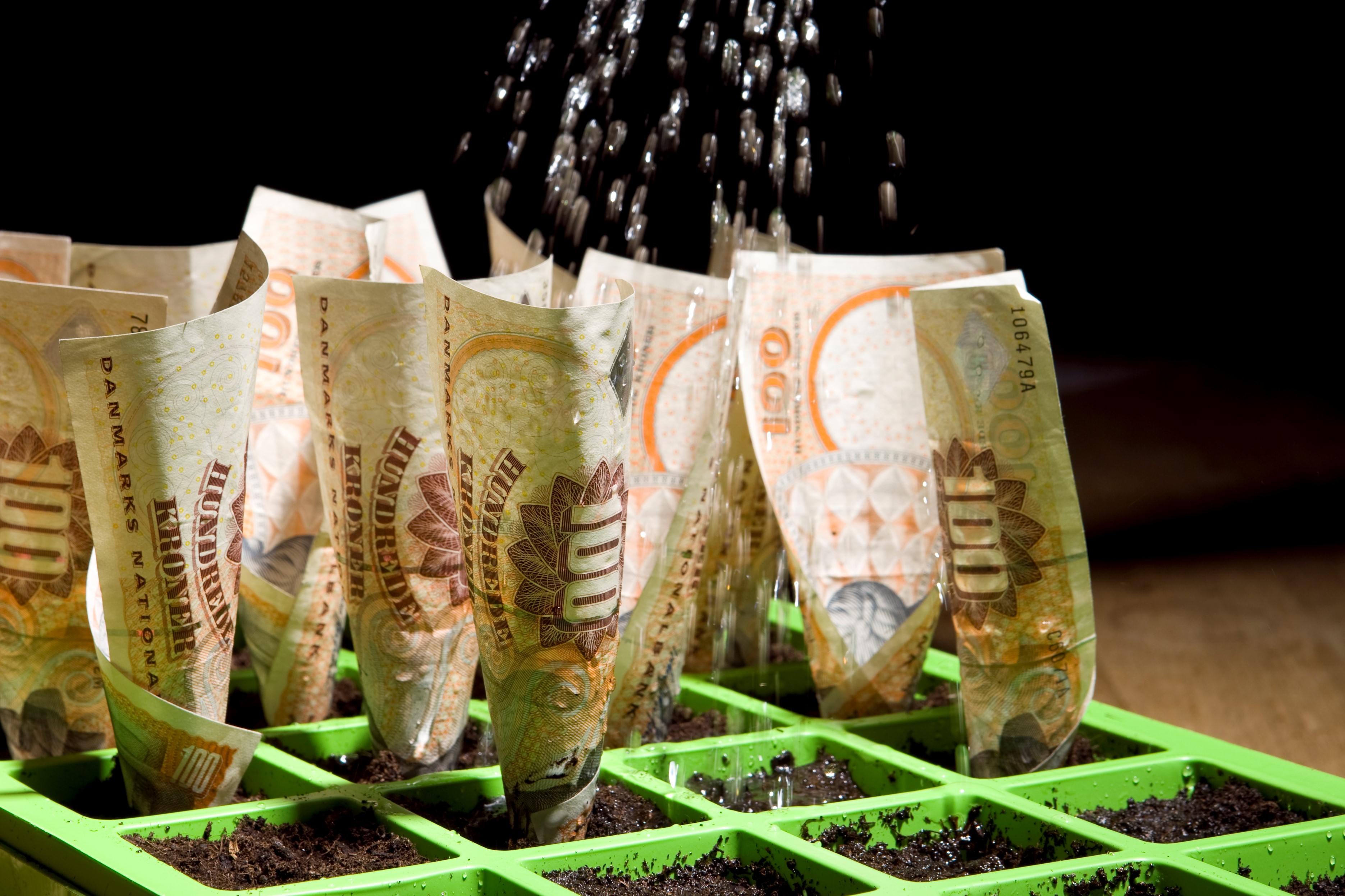 Det tegner til at blive et godt år for økonomien i planteavl