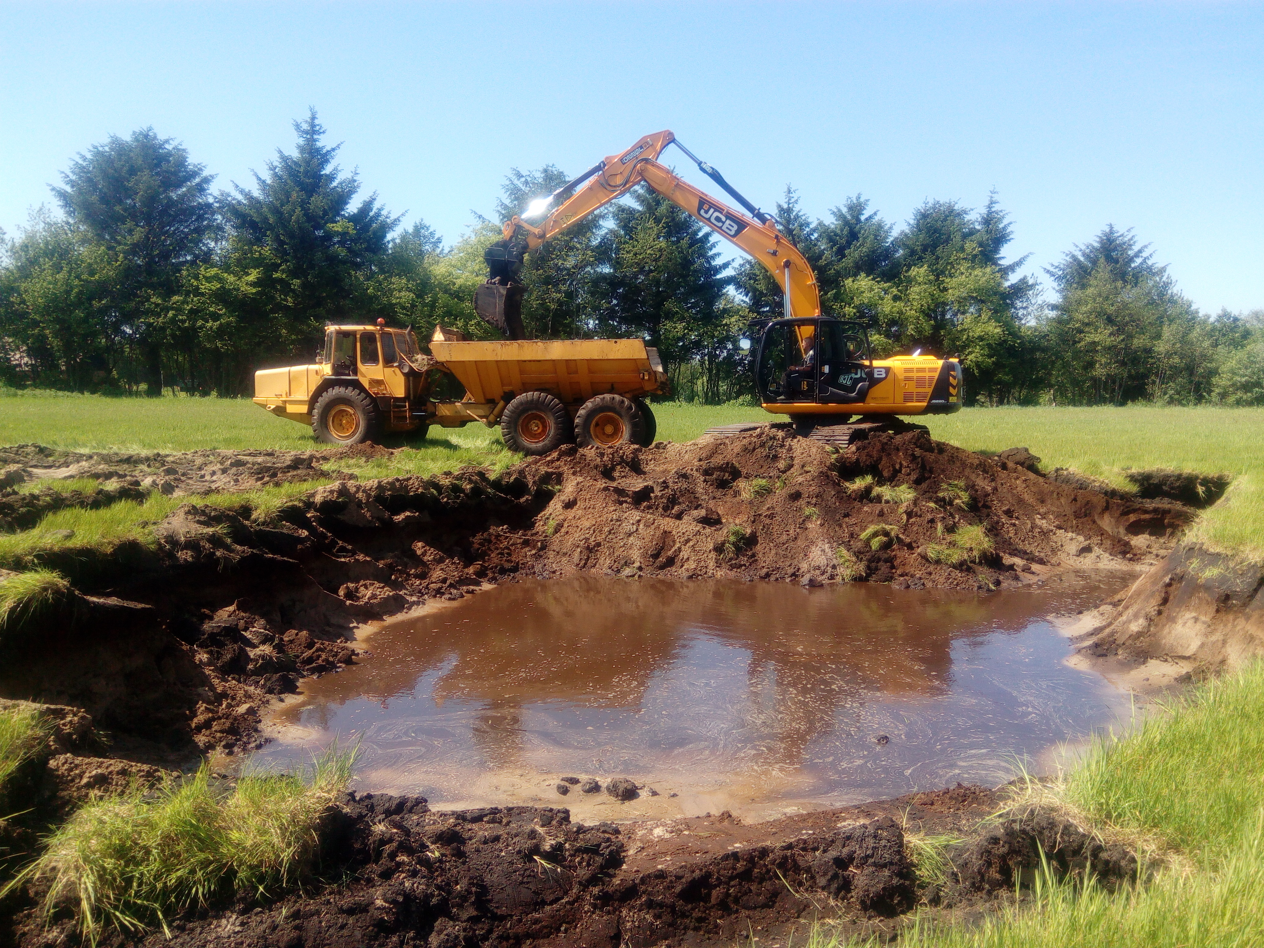 Tilskud: Øg naturværdien ved at etablere vandhuller