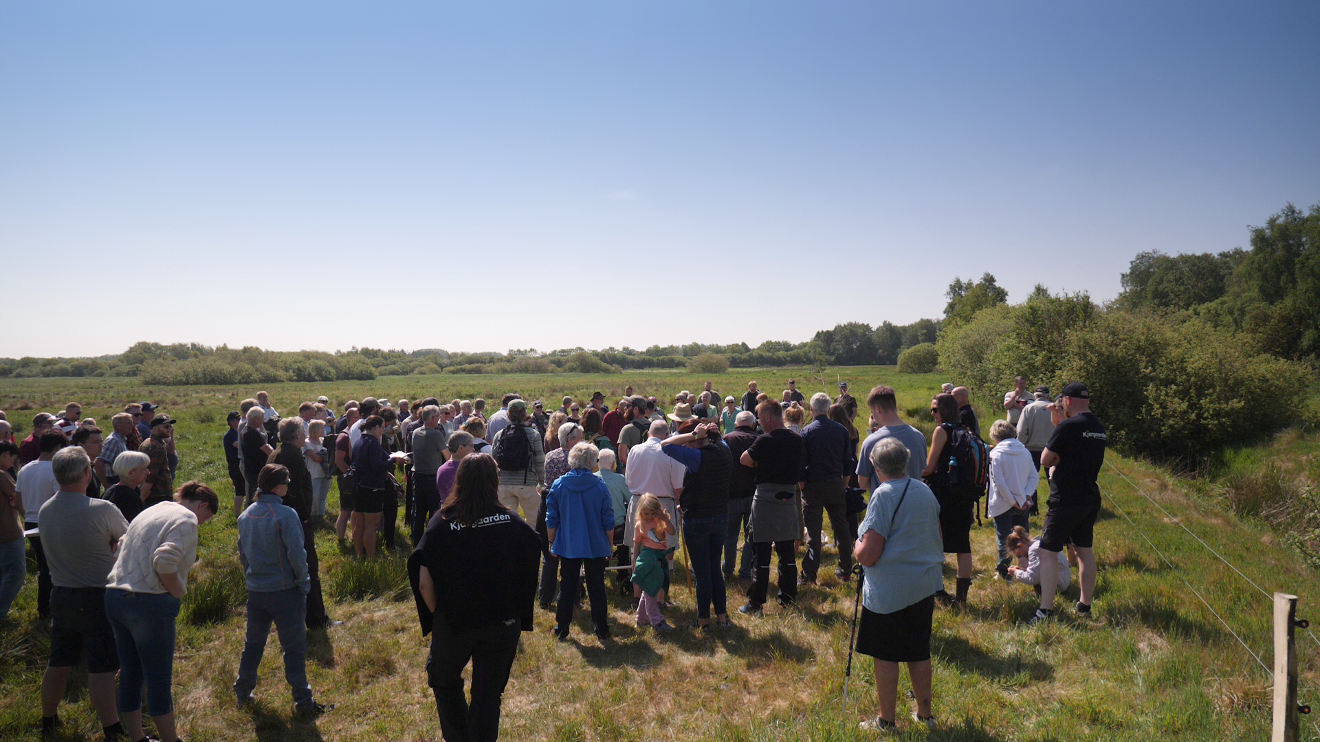 Sol, sommer og stort fremmøde til åbning af græsningsprojekt ved Storåen