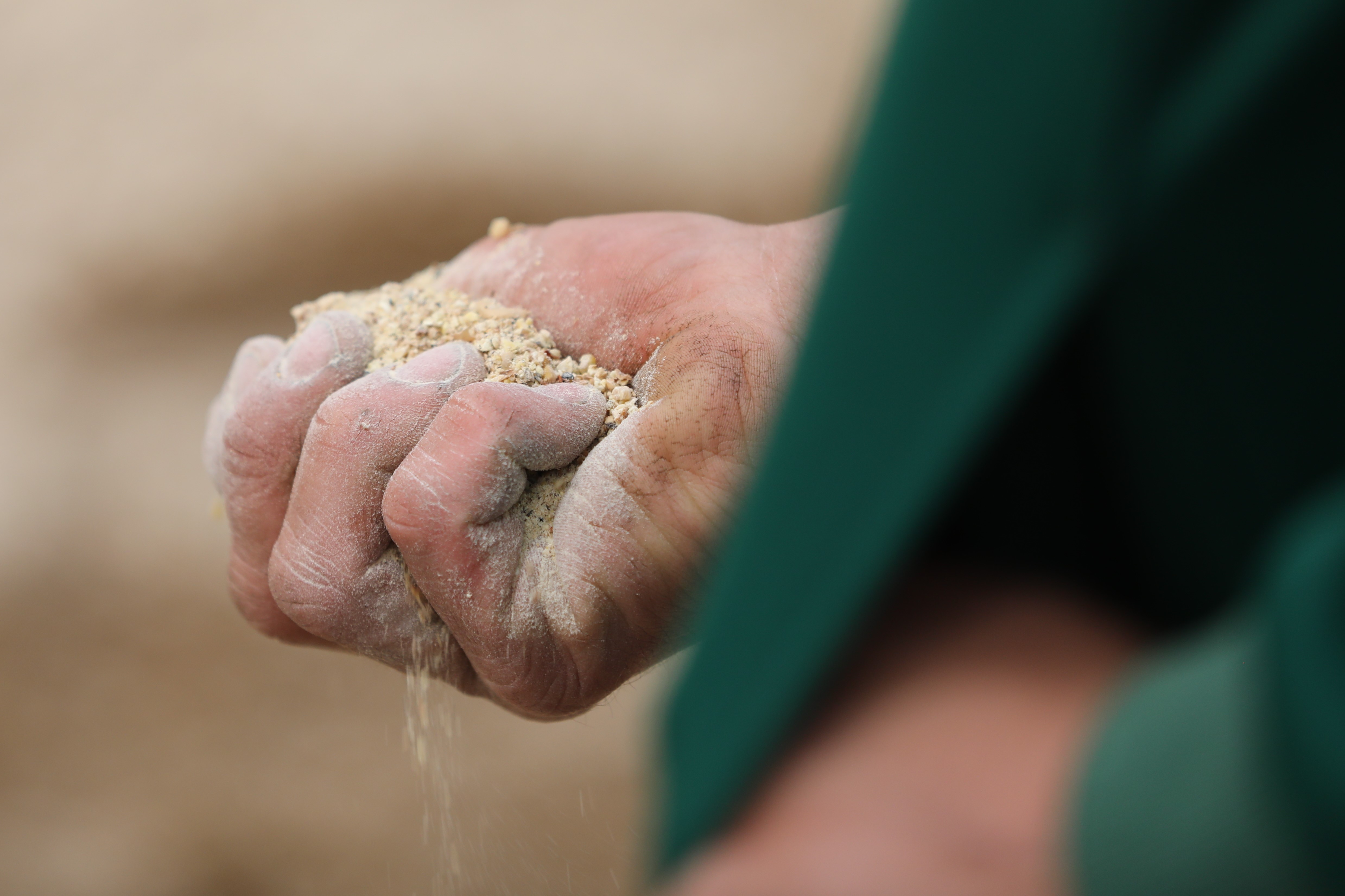 Selvforsyning for økologer: AAT er ikke den vigtigste parameter i foderforsyningen