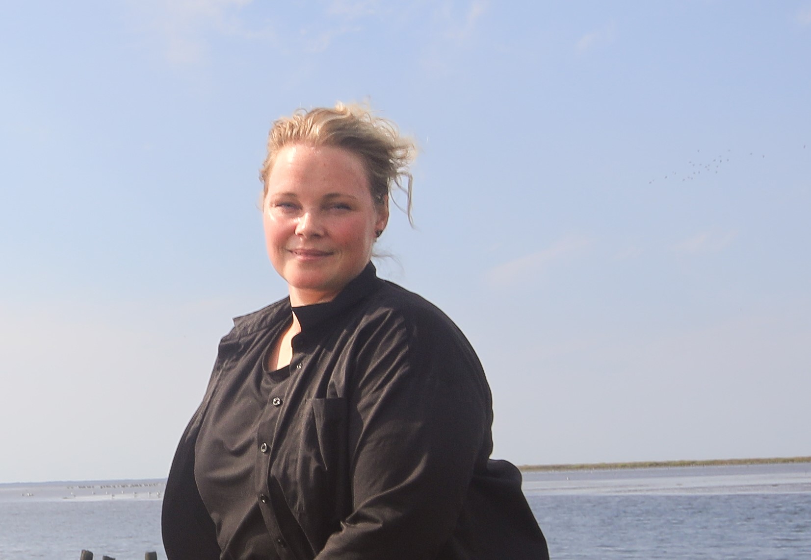 Var Cowi-rapporten politisk styret?