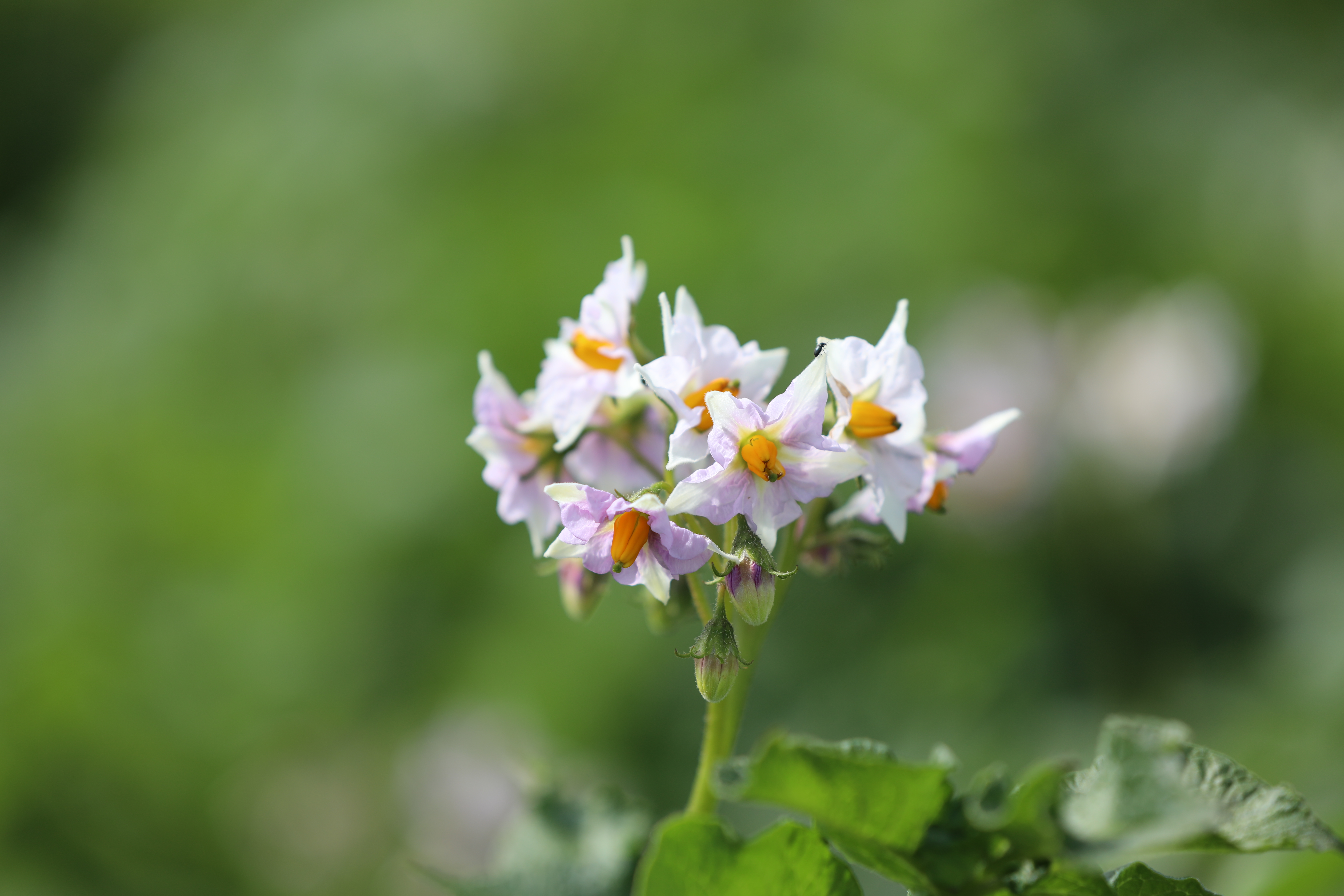 Rådgiver: "Hvordan 2023 ender, tør jeg ikke spå om, men jeg er ikke pessimist”