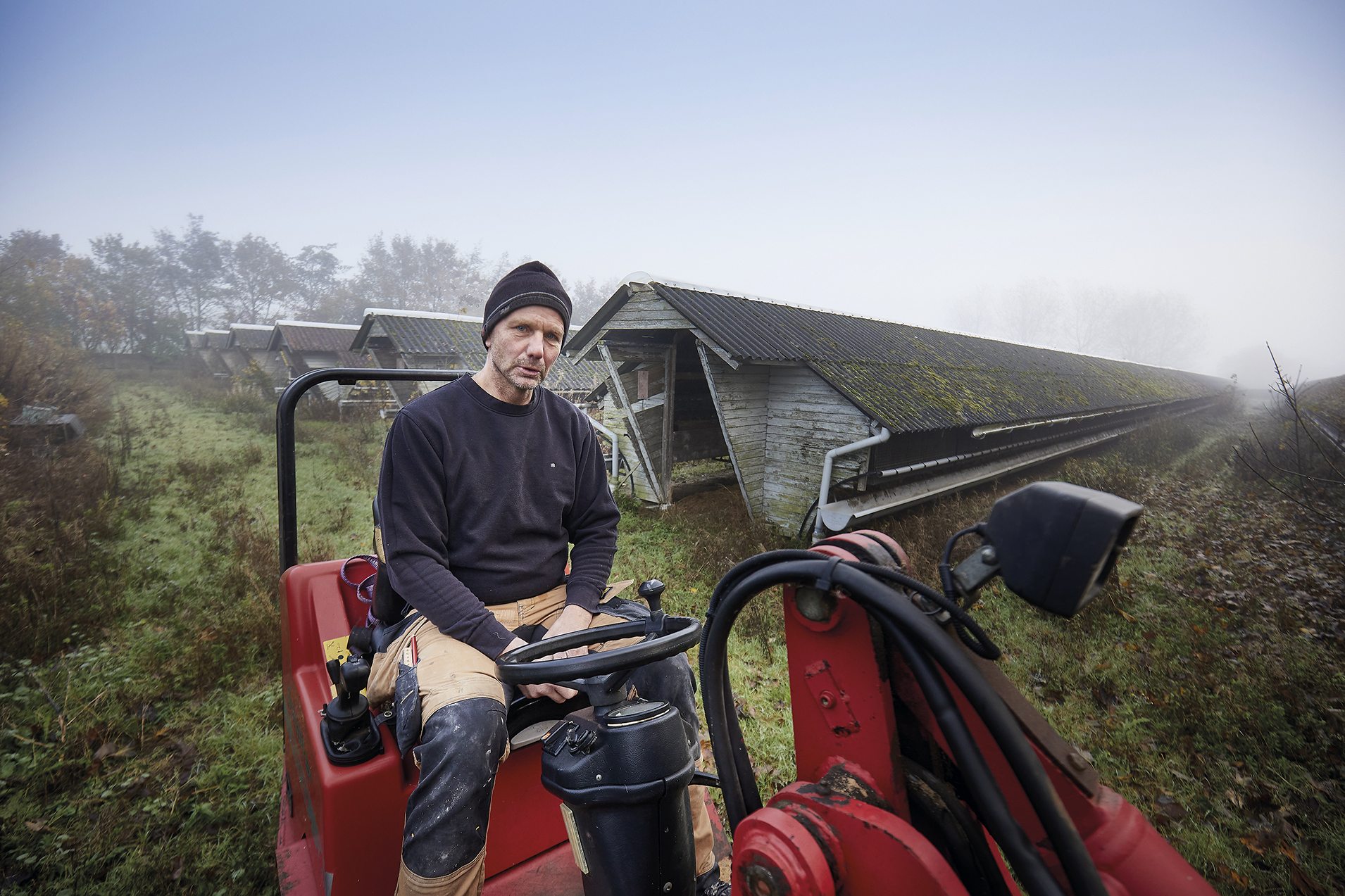 Der er skred i udbetalingerne til det tidligere minkerhverv