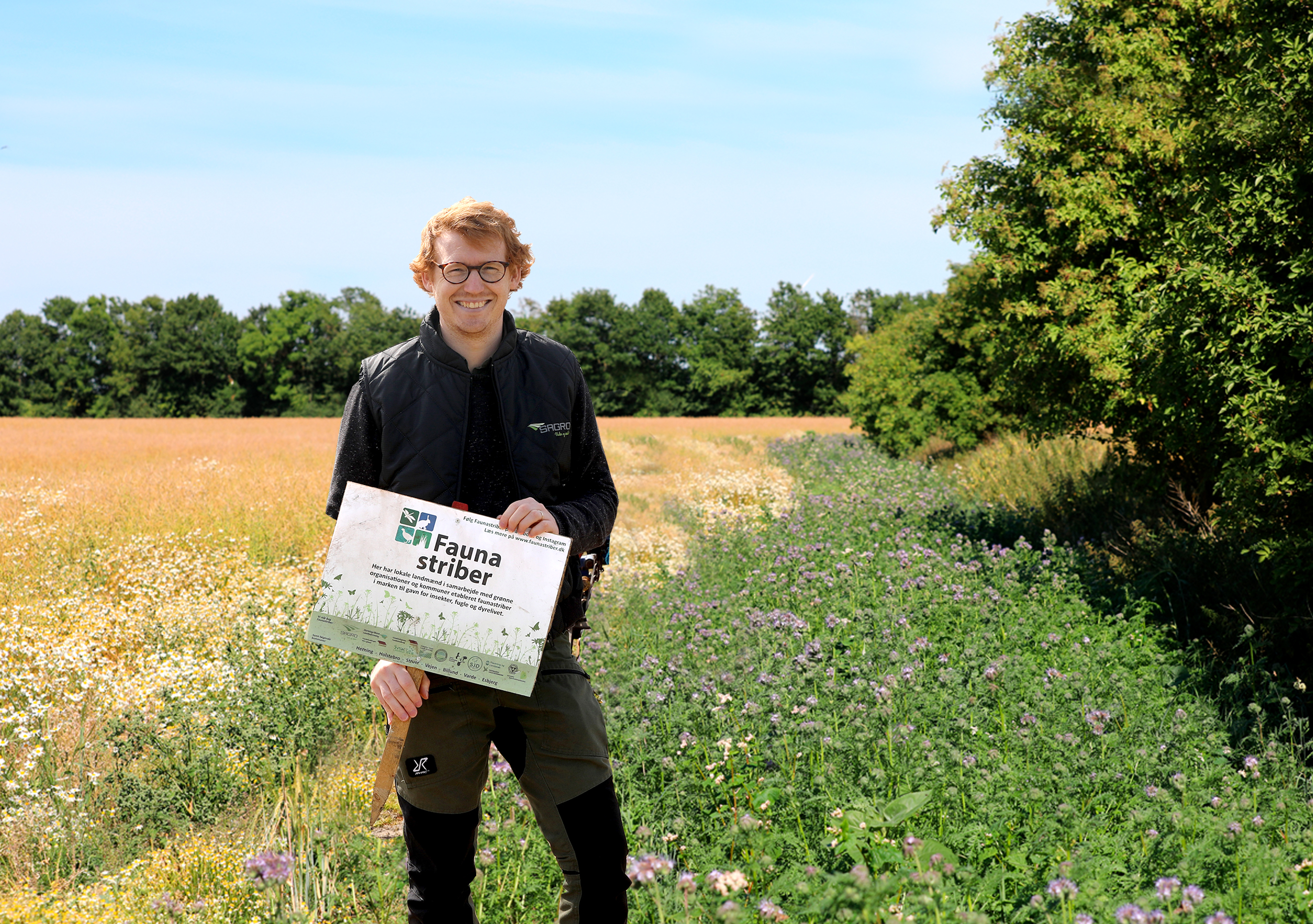 Fra Skagen til Hamborg: Faunastriberne sætter ny rekord
