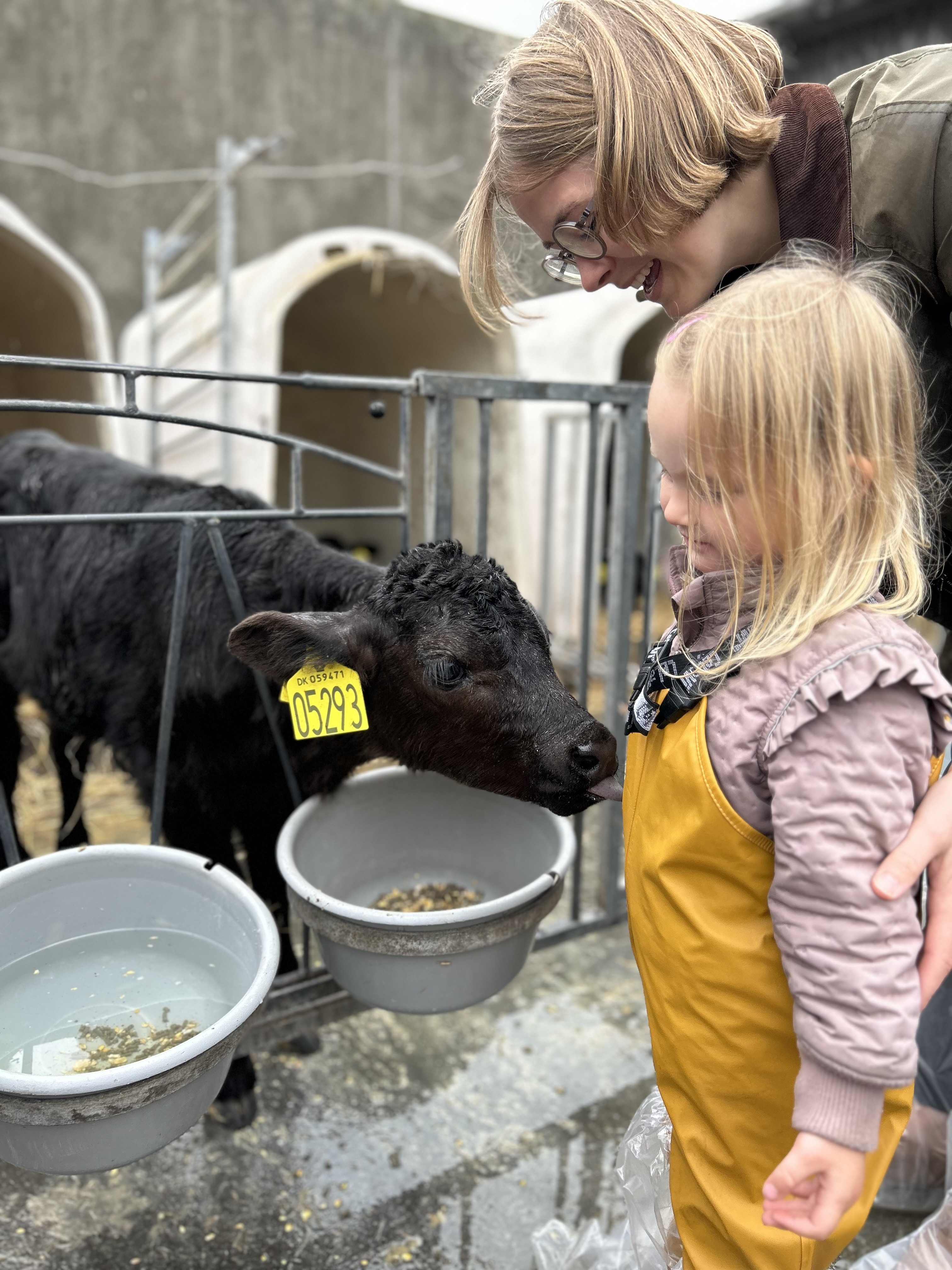 96.000 danskere tog på opdagelse i dansk landbrug