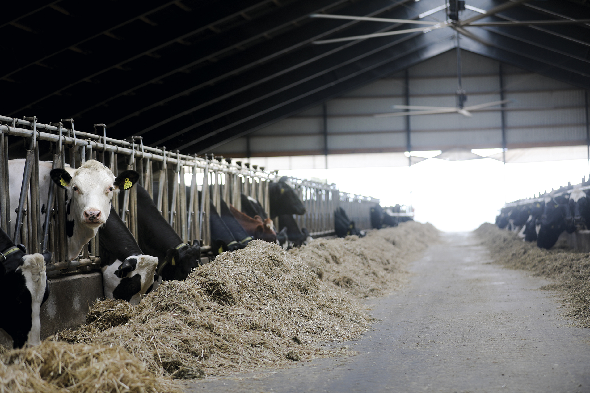 Bliver man mere moden af at være landmand?