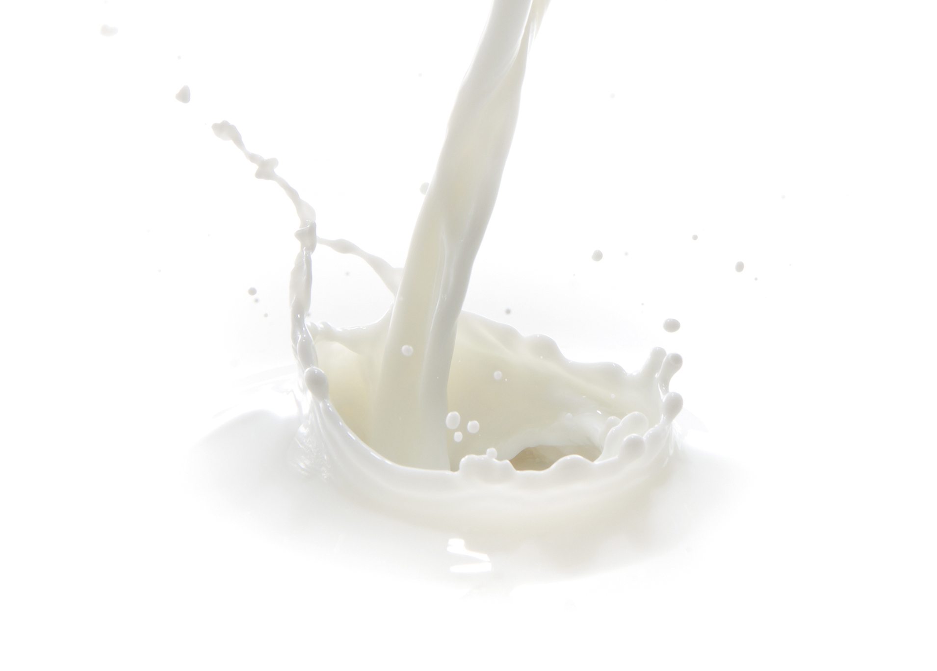 Danmark er igen europamester i mælkeydelse