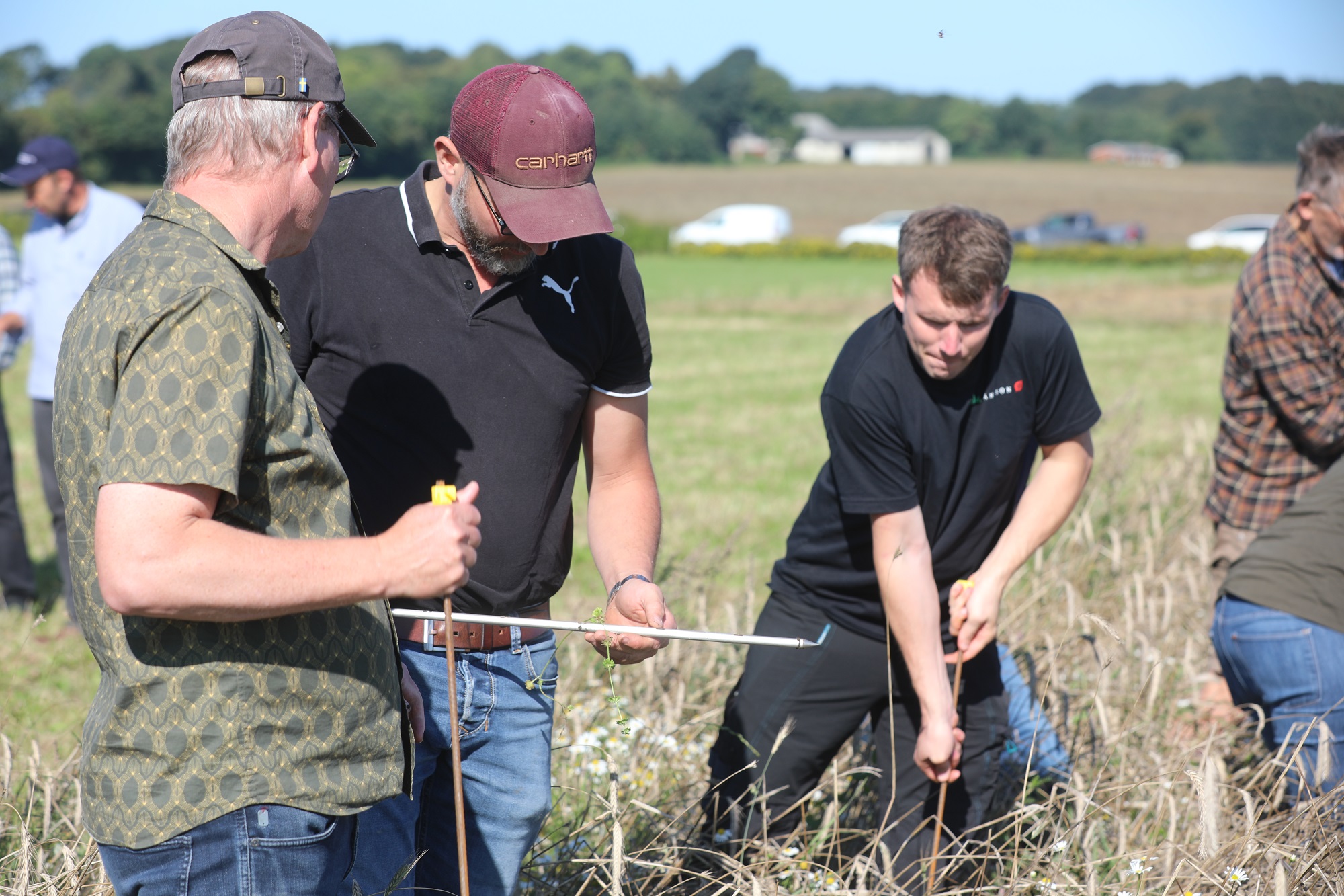 Efter god opbakning: ØkologiRådgivning Danmark afholder endnu et kursus i jordens frugtbarhed