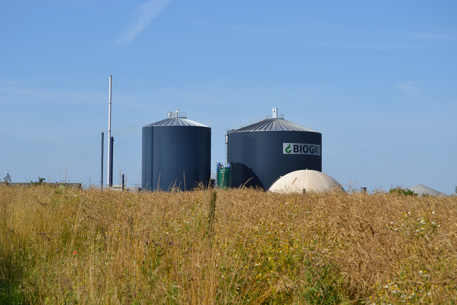 Biogas