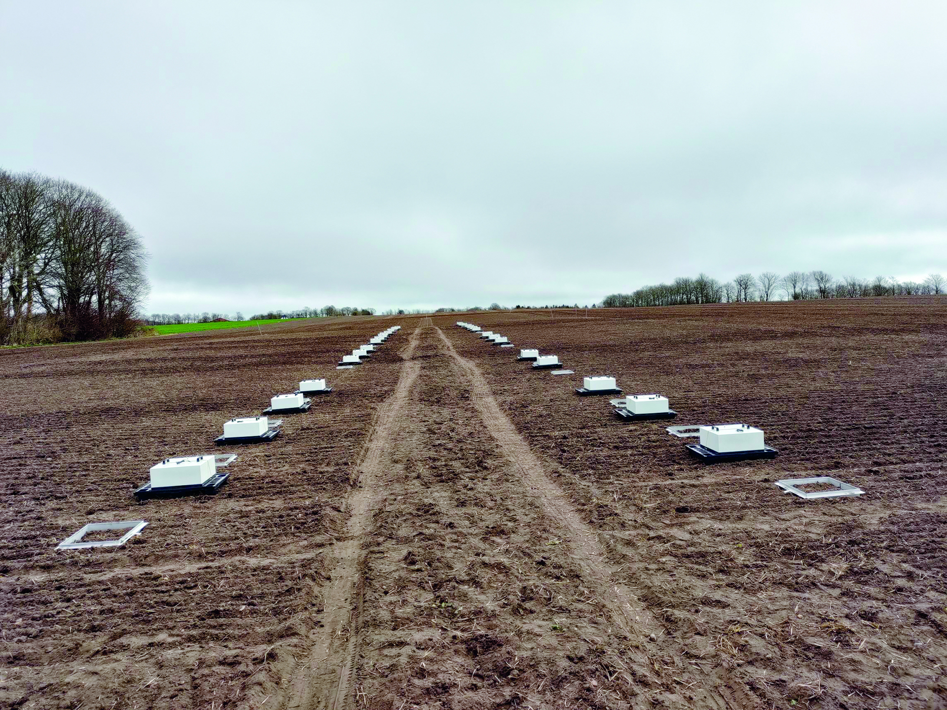 Ny fond skal cementere dansk landbrugs placering i verdenseliten