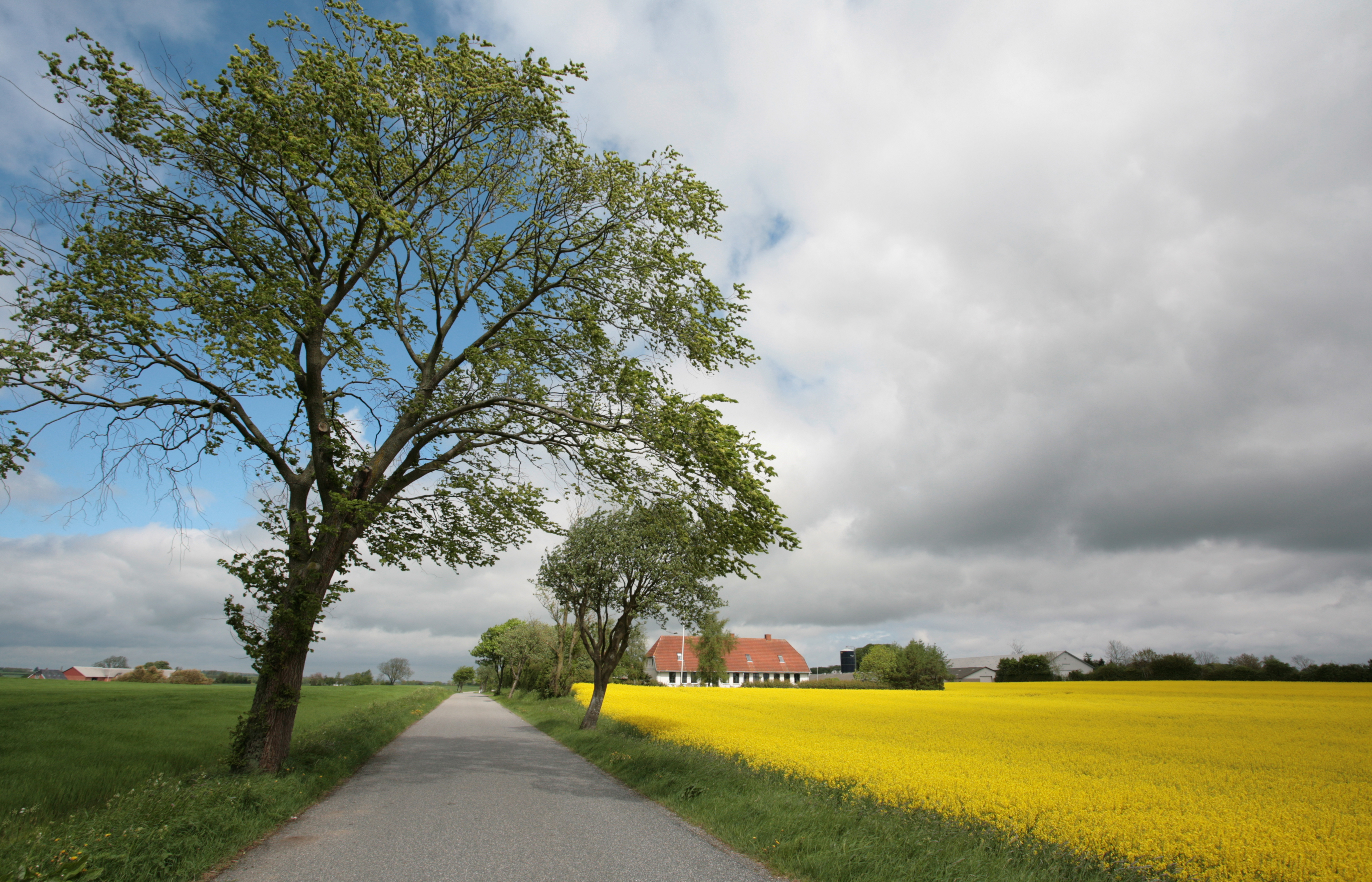 Vidste du det om etableringsstøtte?