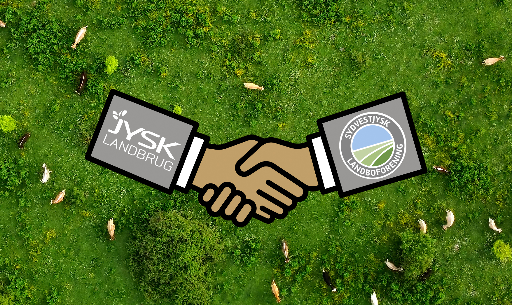 Vigtig fusion på vej i Sydjylland