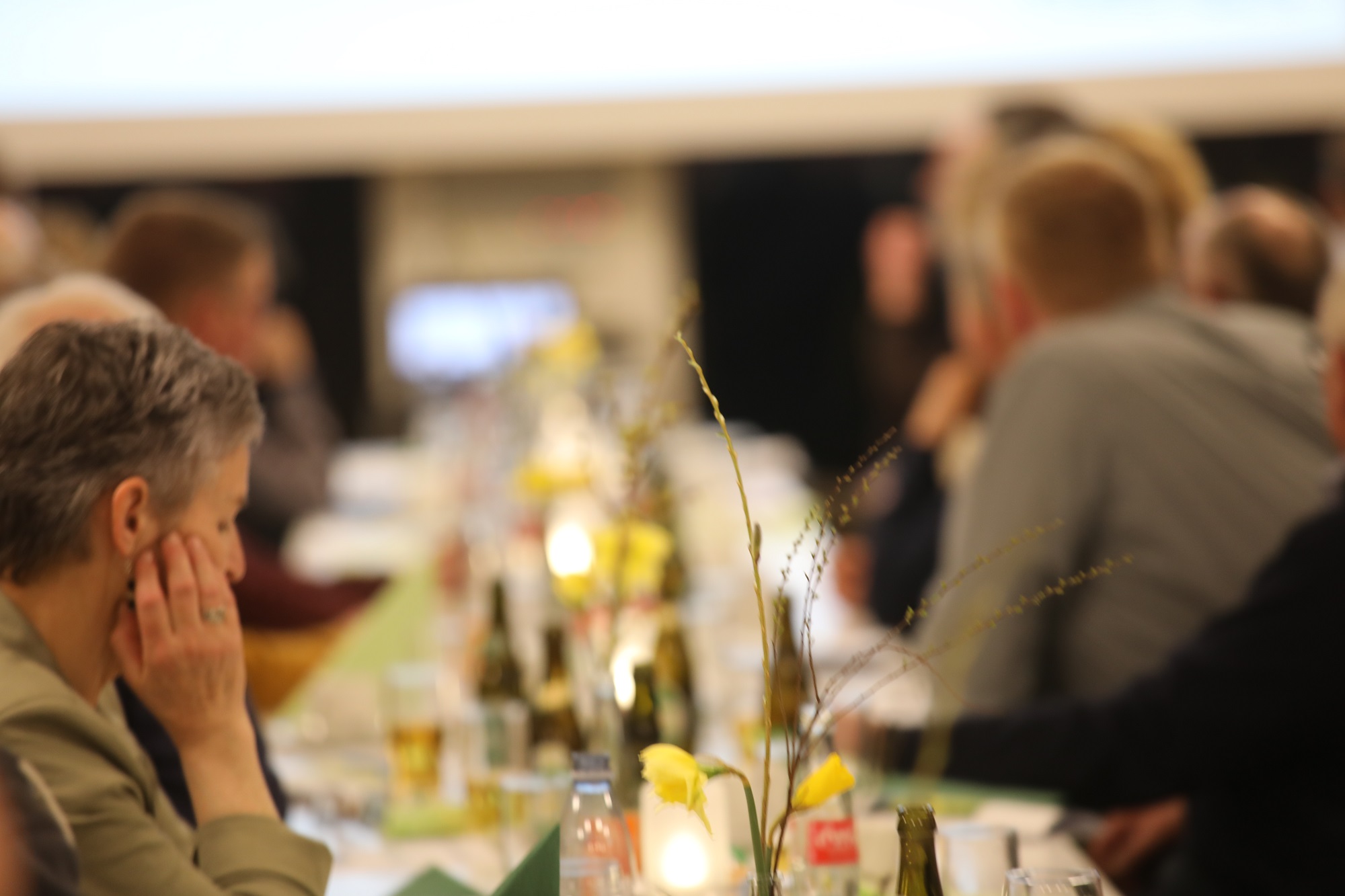 Tanke om fusion spirede på en køretur fra København