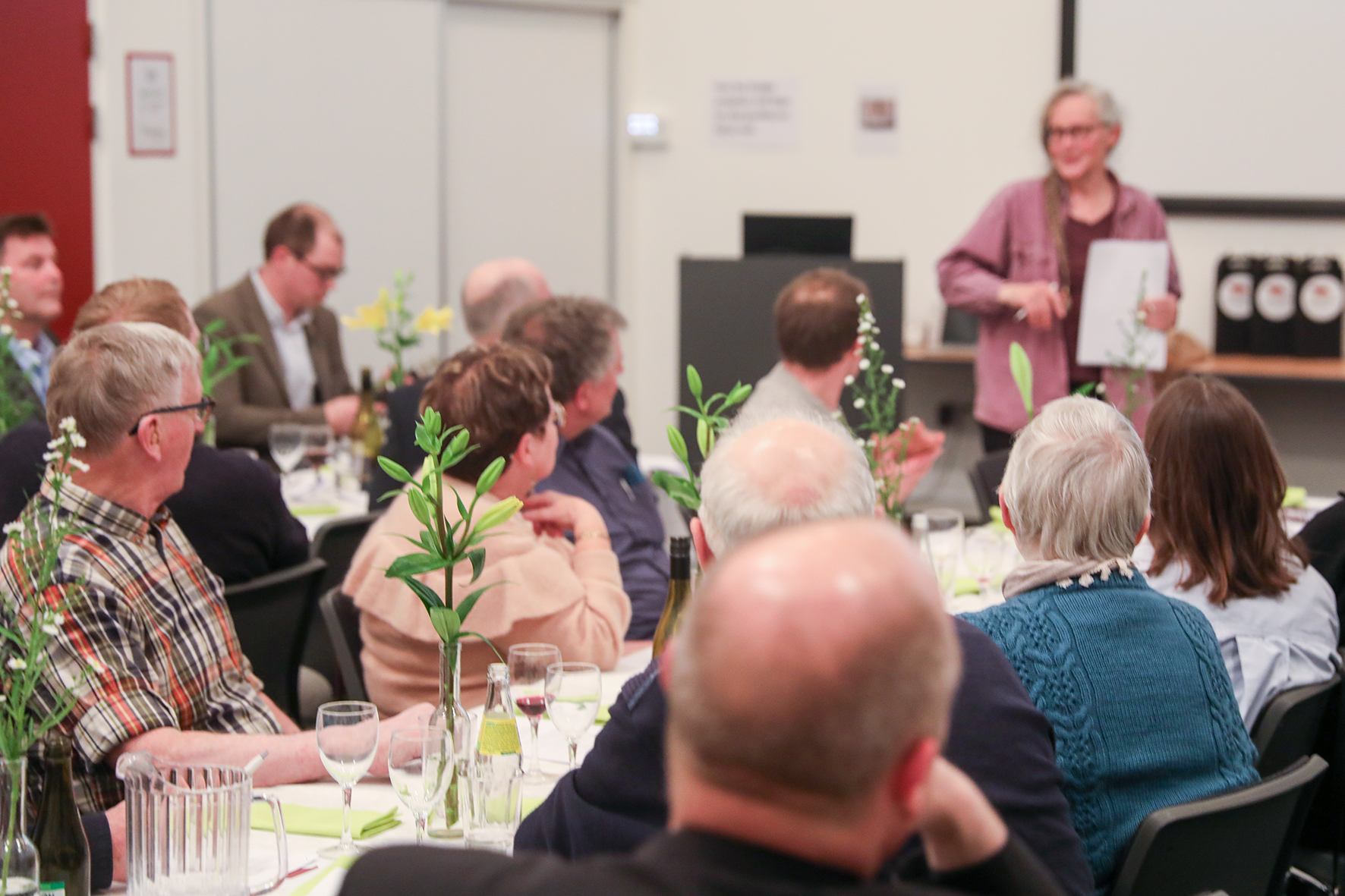 Vi kigger på fugle… og årsregnskab