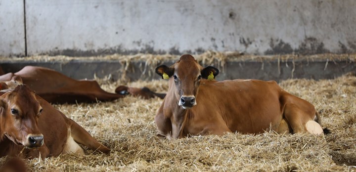 Det var slet ikke så krævende eller vanskeligt at komme i gang med ESG, fortæller Jacob Nielsen