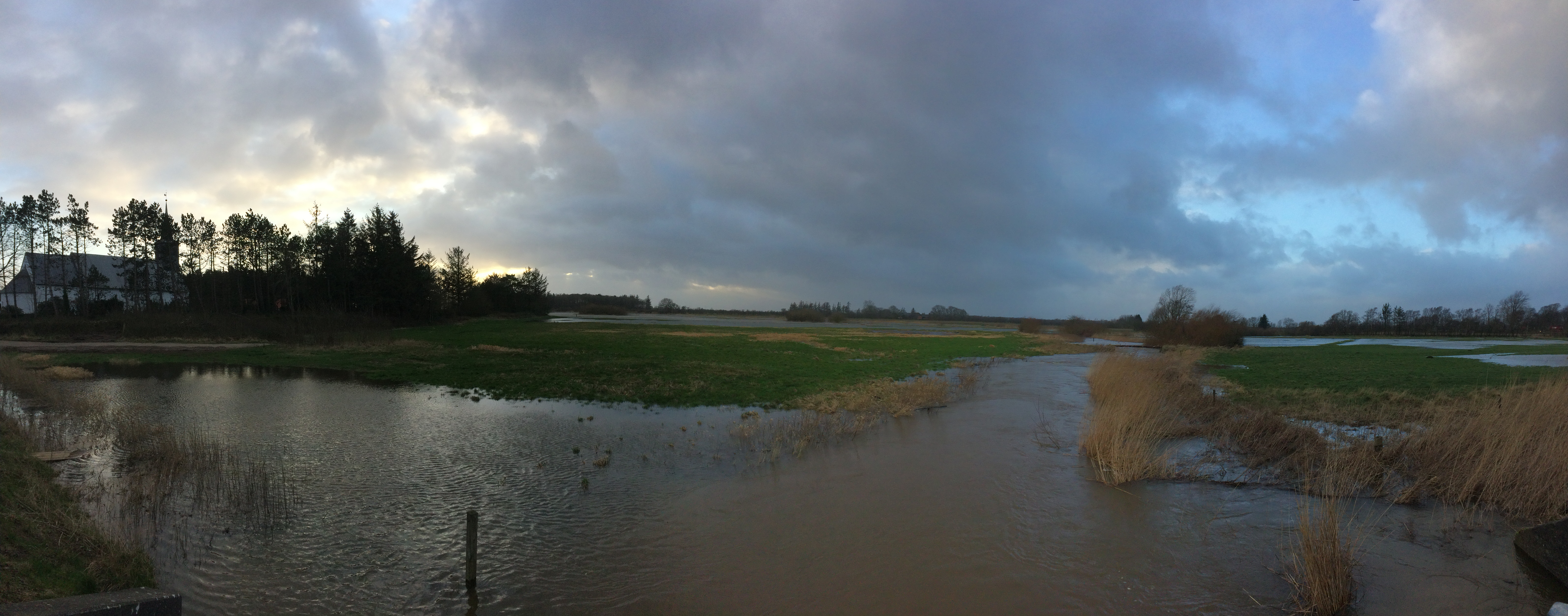 Vilde vandmængder: De næste uger afgør, om det bare er træls eller ender med alvorlige udbyttetab