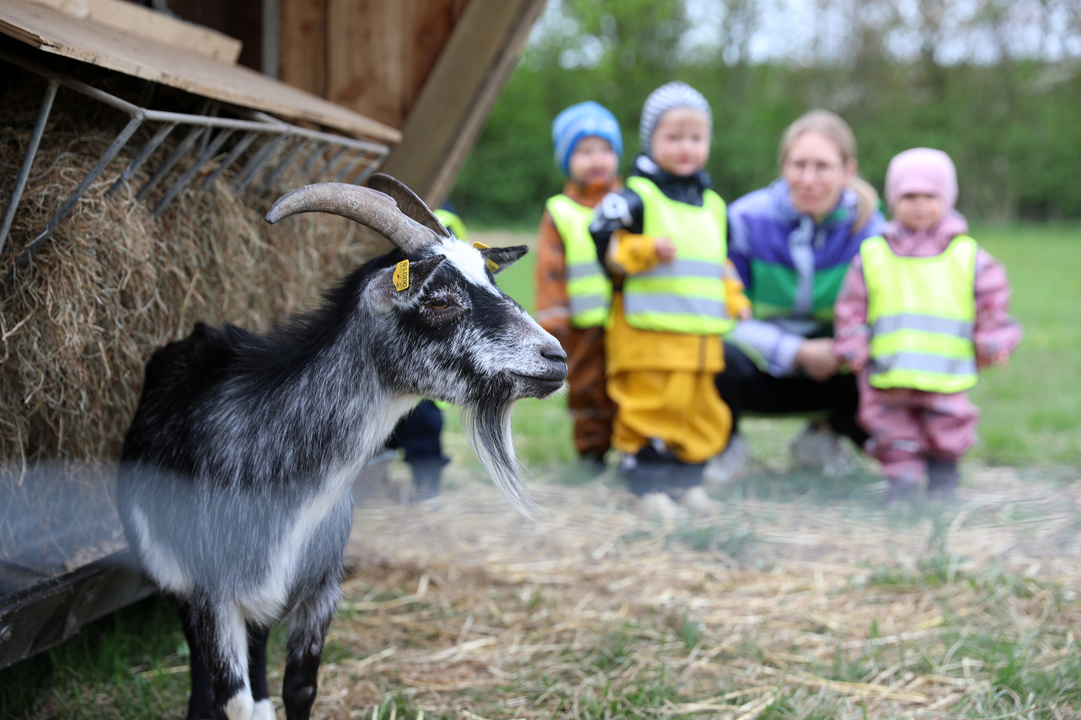Mange besøgende til åbningsdagen for Landbrugets Oplevelsesplads