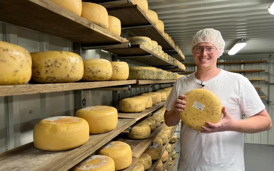 Gedeost fra nyt gårdmejeri vinder mejeribrugets Oscar