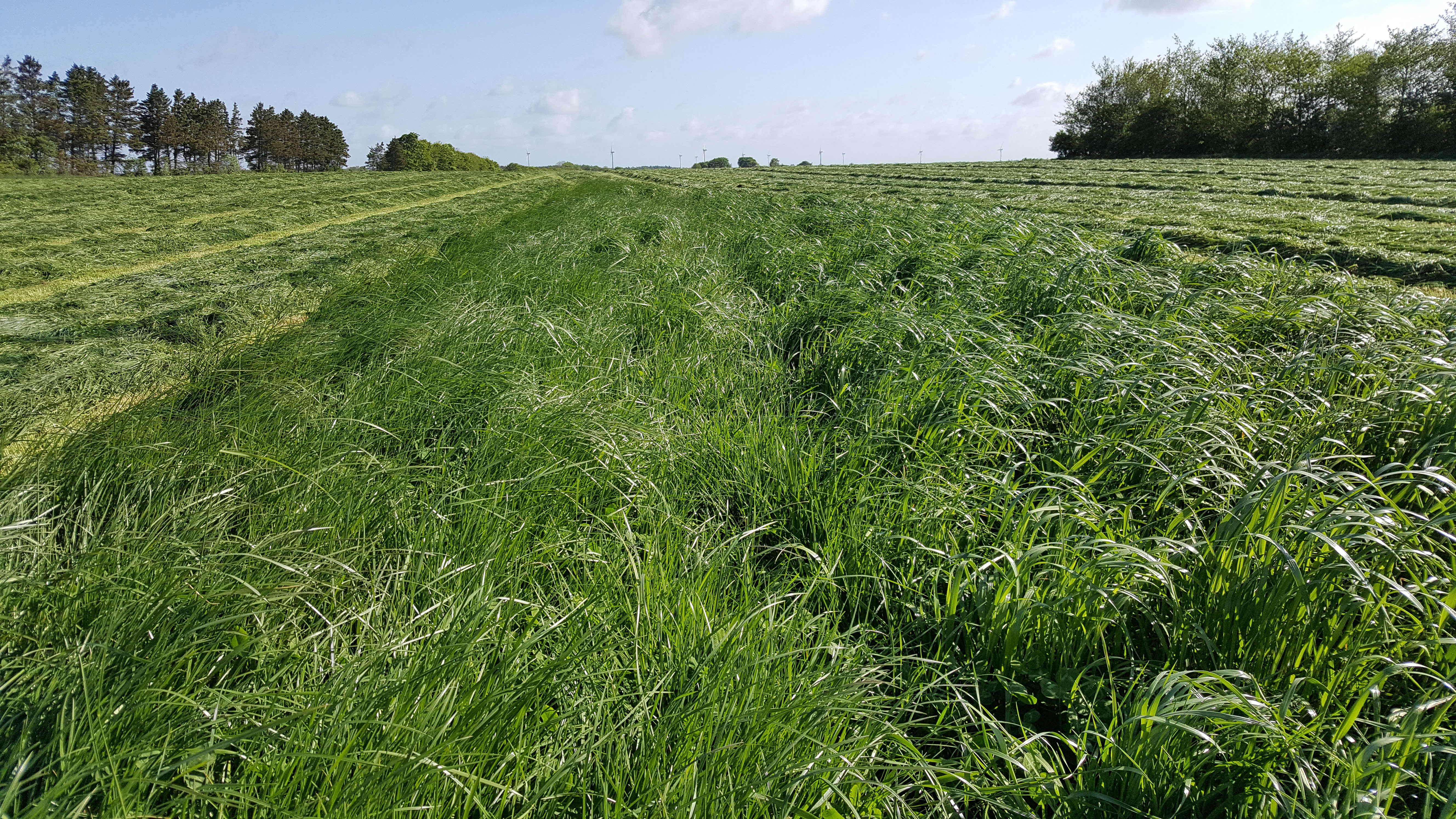 Andet slæt er lige på trapperne – tag de strategiske briller på