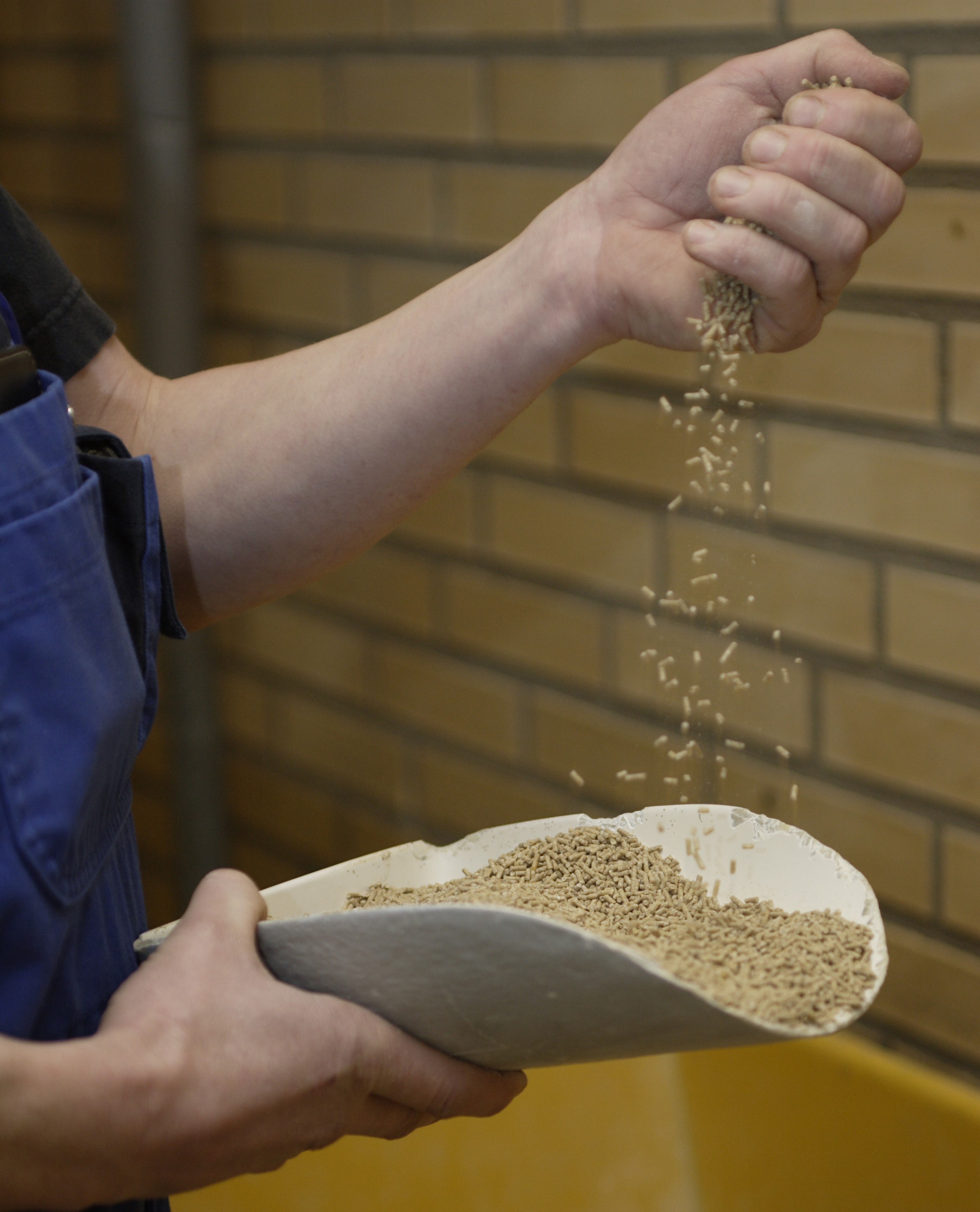 Får du de bedste priser?  Hold godt øje med fodermarkedet